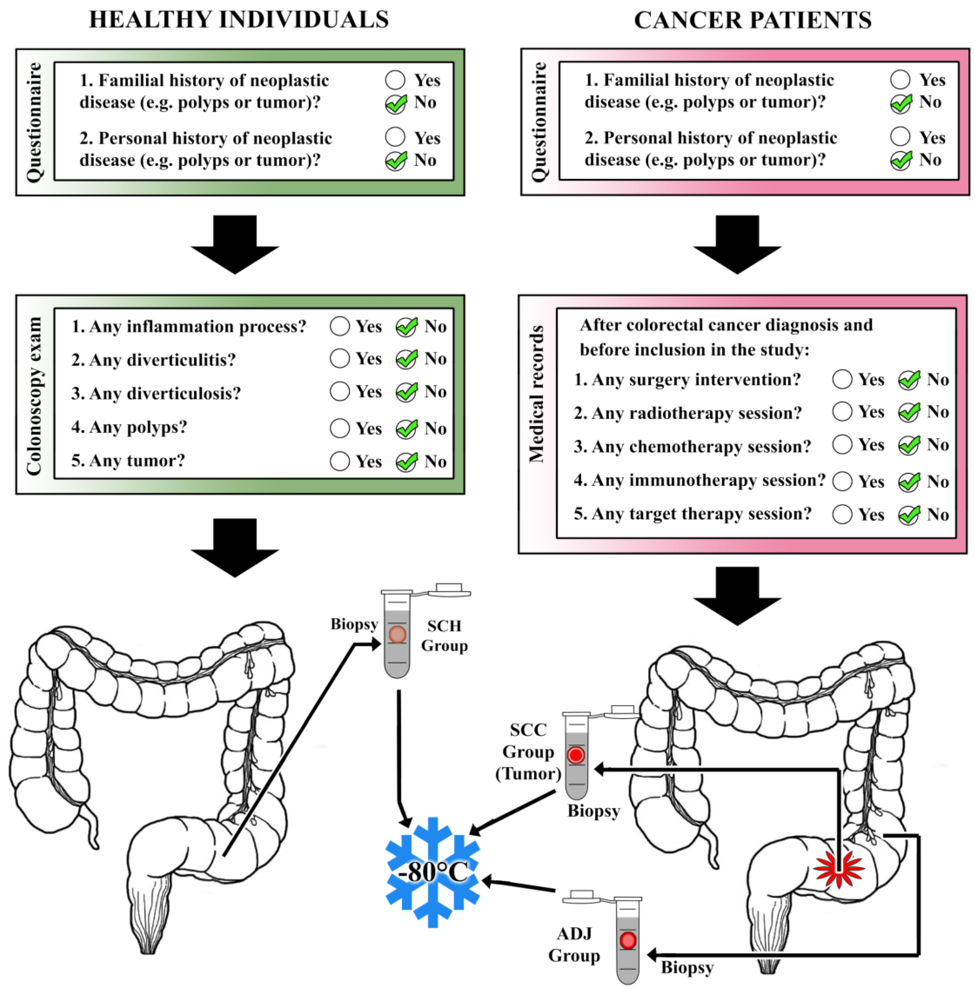 Cancers Free Full Text Role Of Mirnas In Sigmoid Colon Cancer A Search For Potential Biomarkers Html