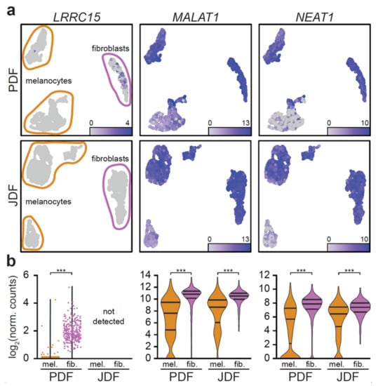 https://www.mdpi.com/cancers/cancers-12-03324/article_deploy/html/images/cancers-12-03324-g005-550.jpg