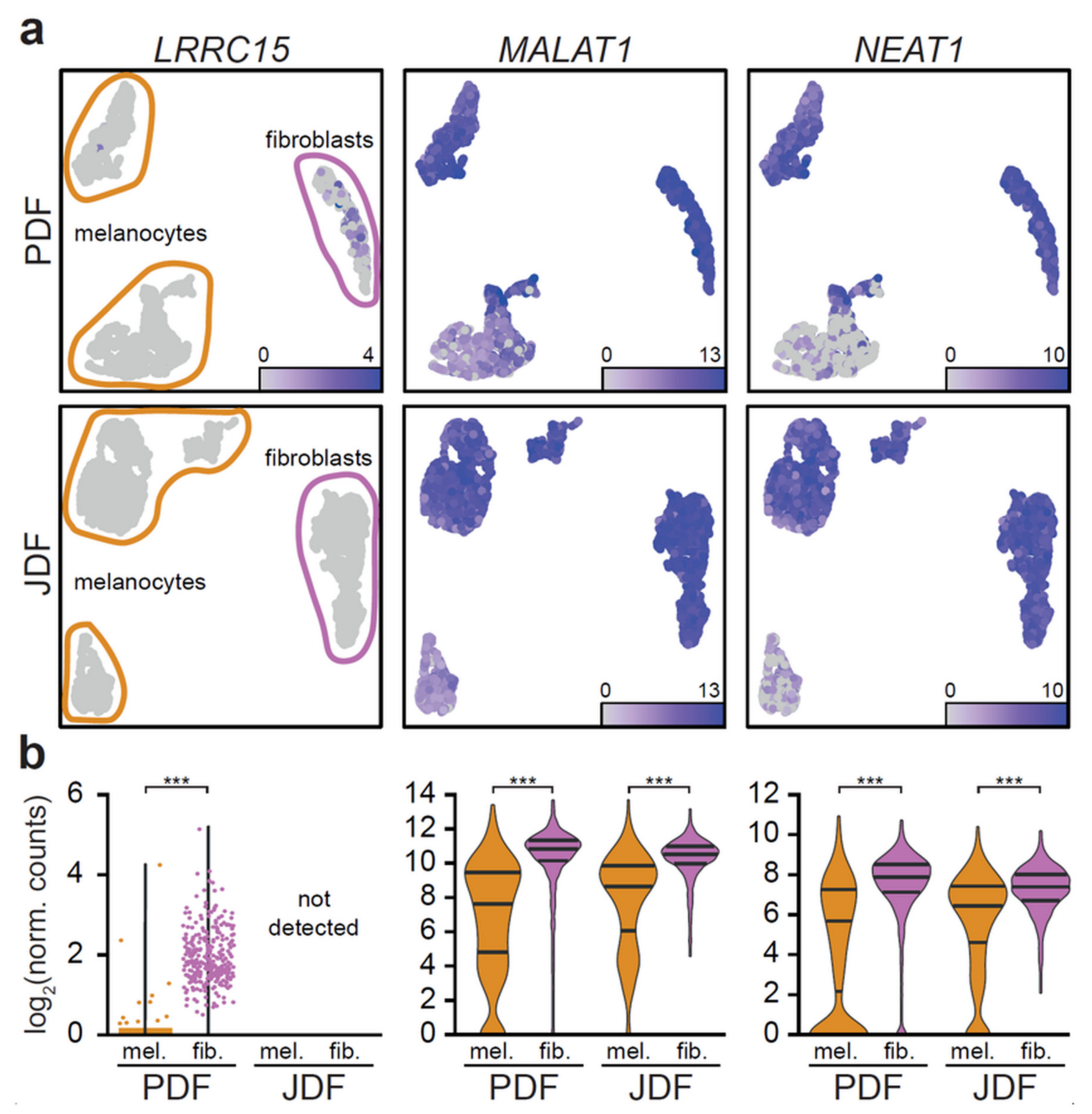 Cancers 12 03324 g005 Cancers 12 03324 g005