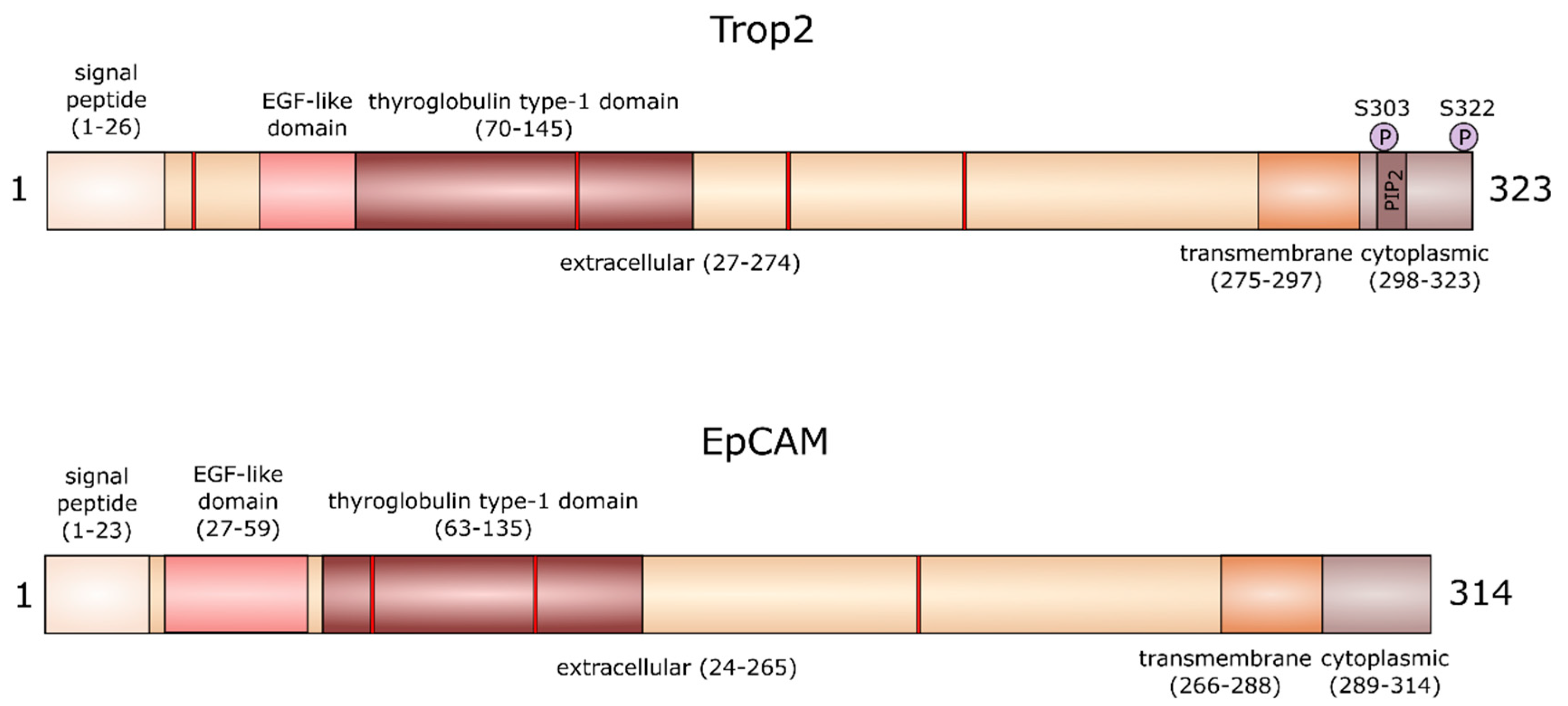 Cancers 12 03328 g001
