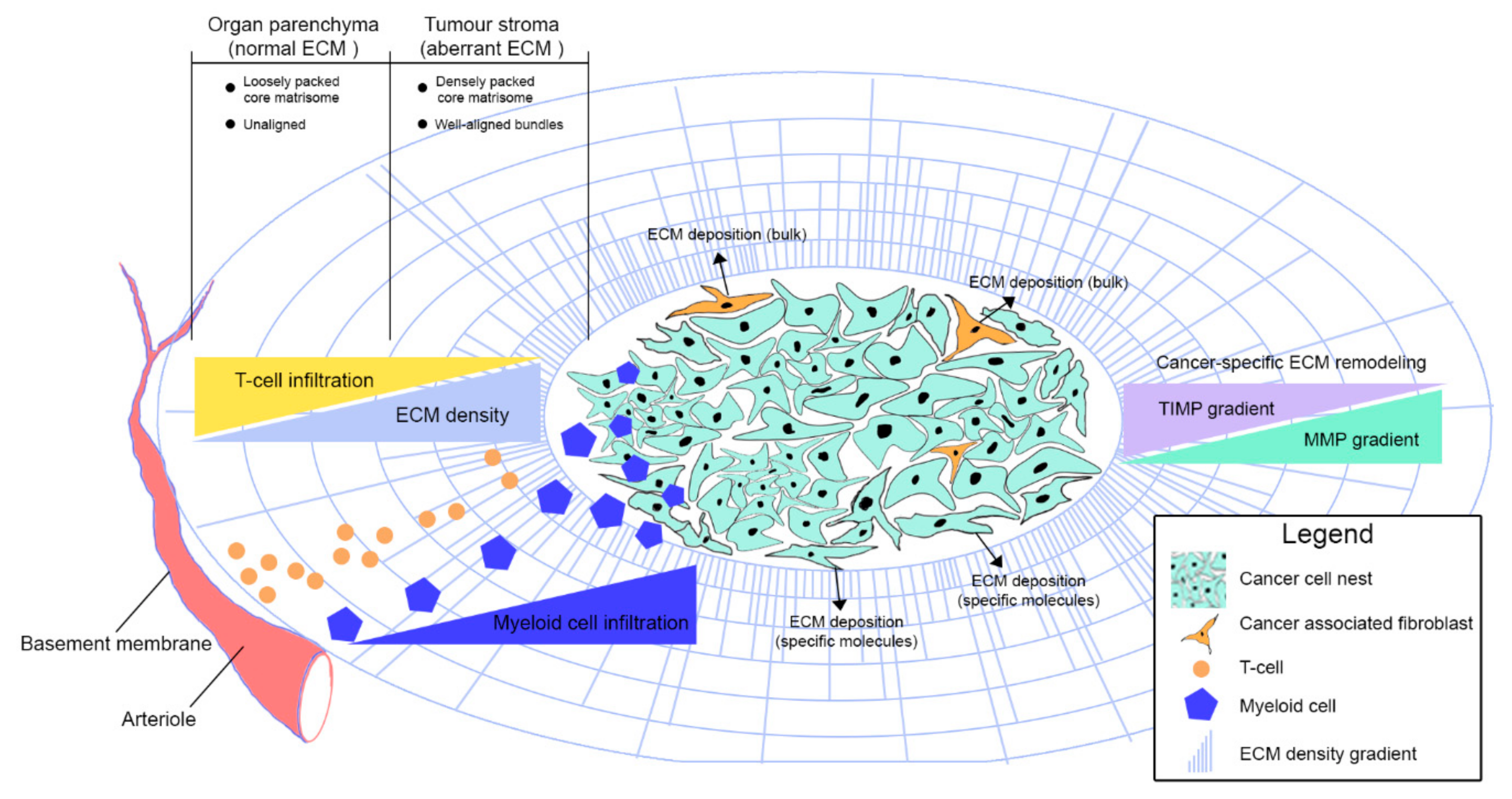 Cancers 12 03331 g001