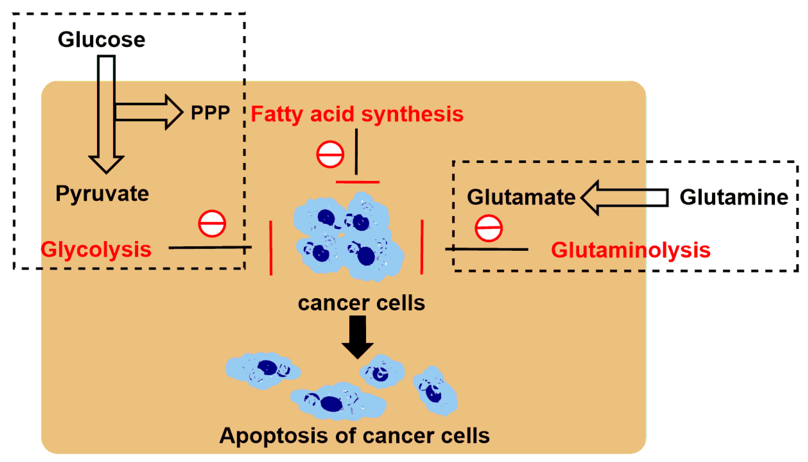Cancers 12 03332 g003 Cancers 12 03332 g003