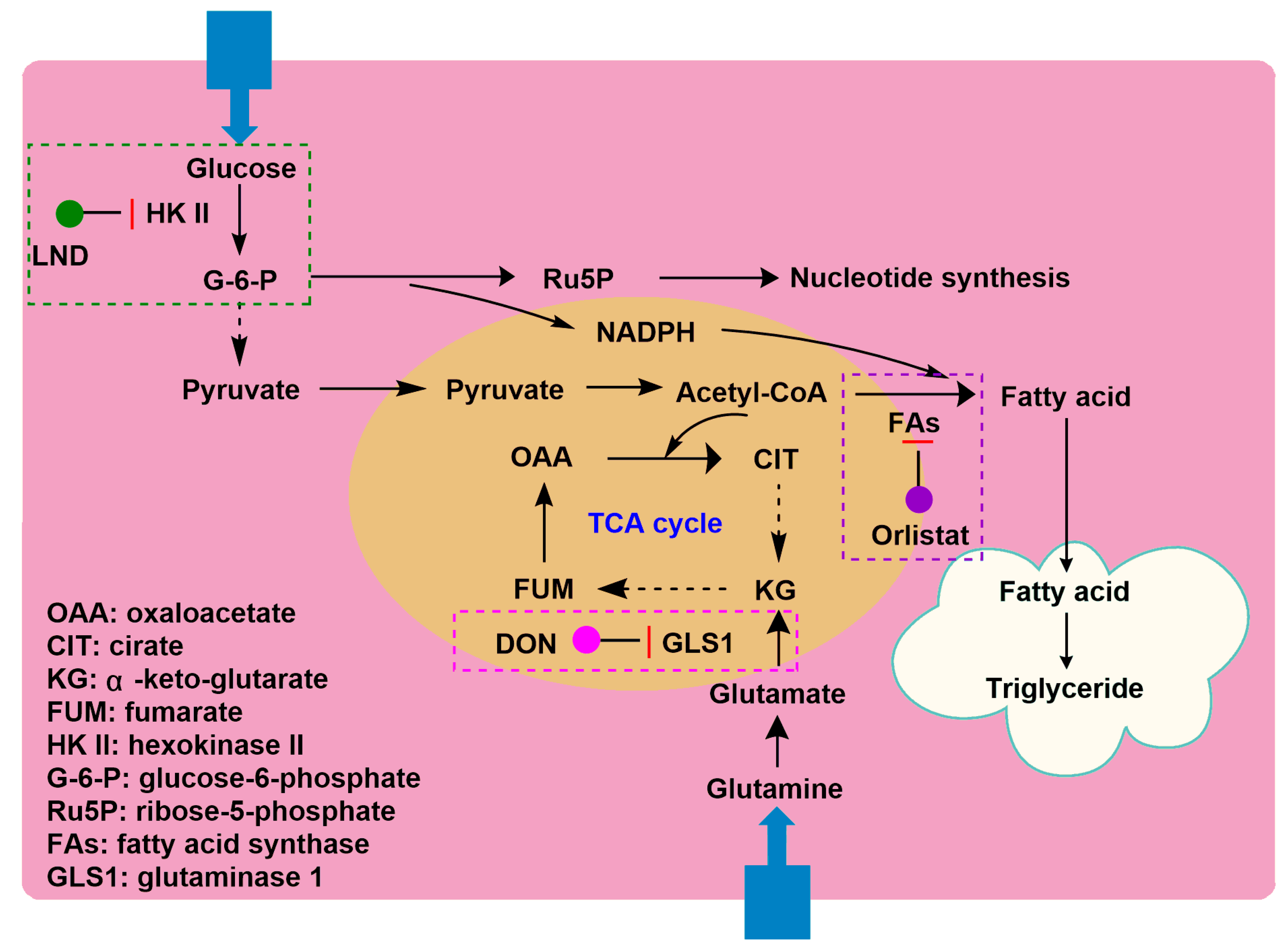 Cancers 12 03332 g004 Cancers 12 03332 g004