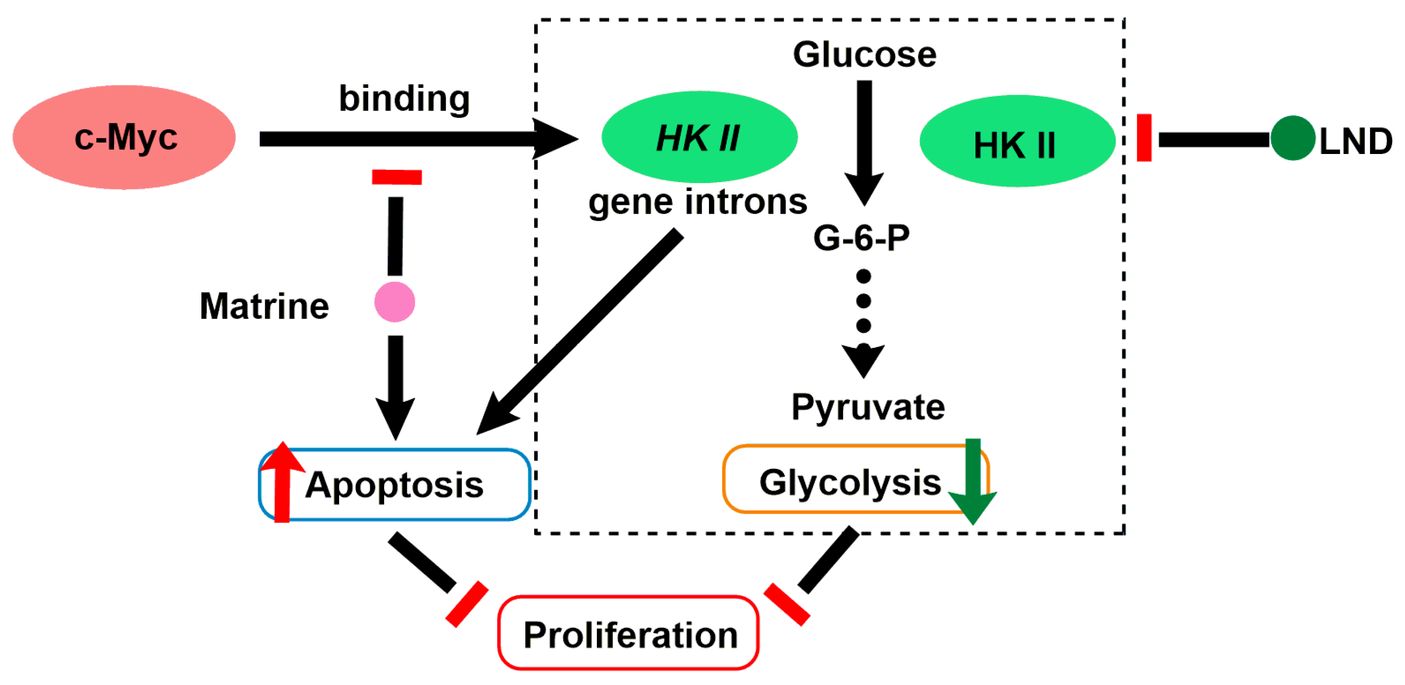 Cancers 12 03332 g006 Cancers 12 03332 g006