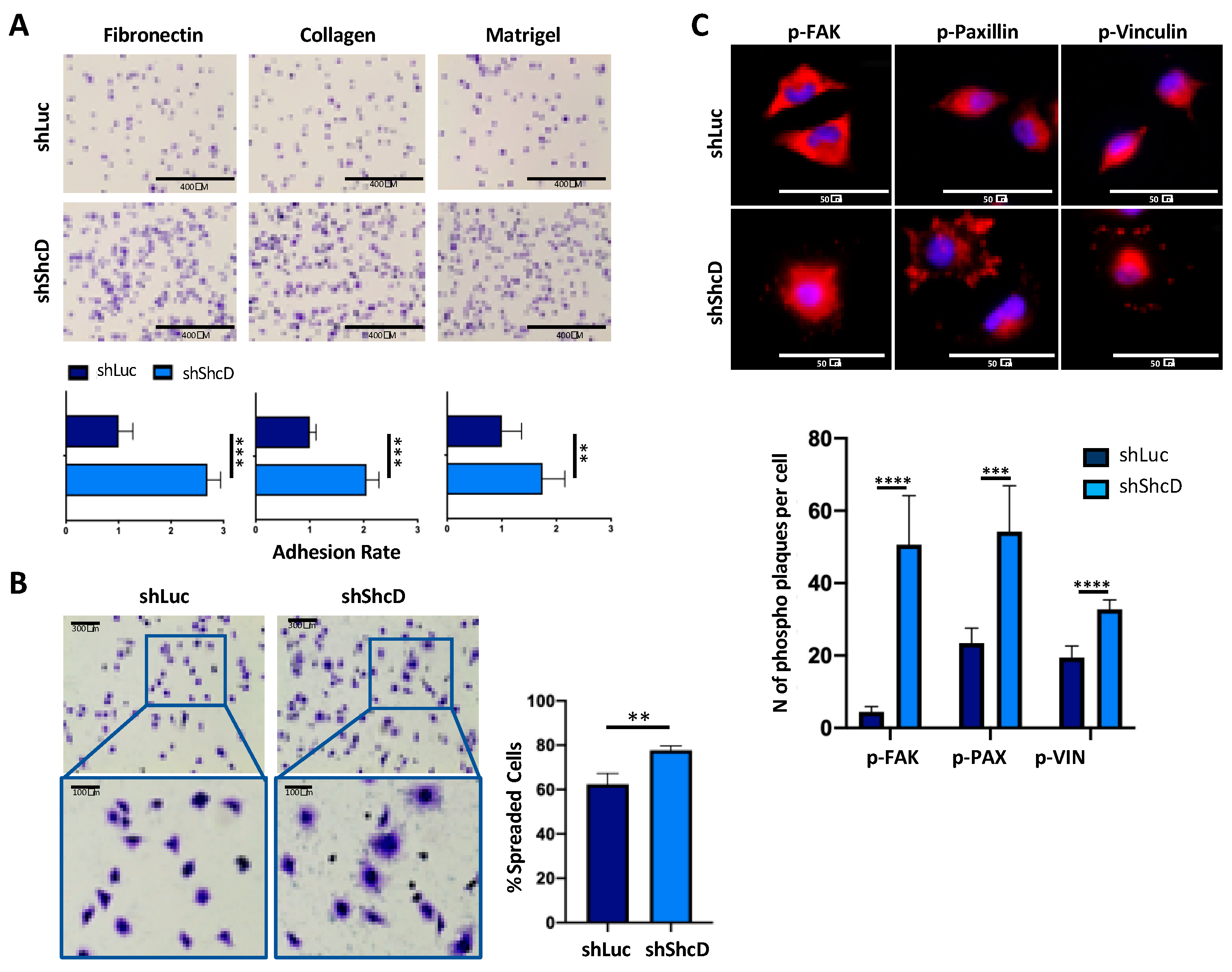 Cancers 12 03366 g001 Cancers 12 03366 g001
