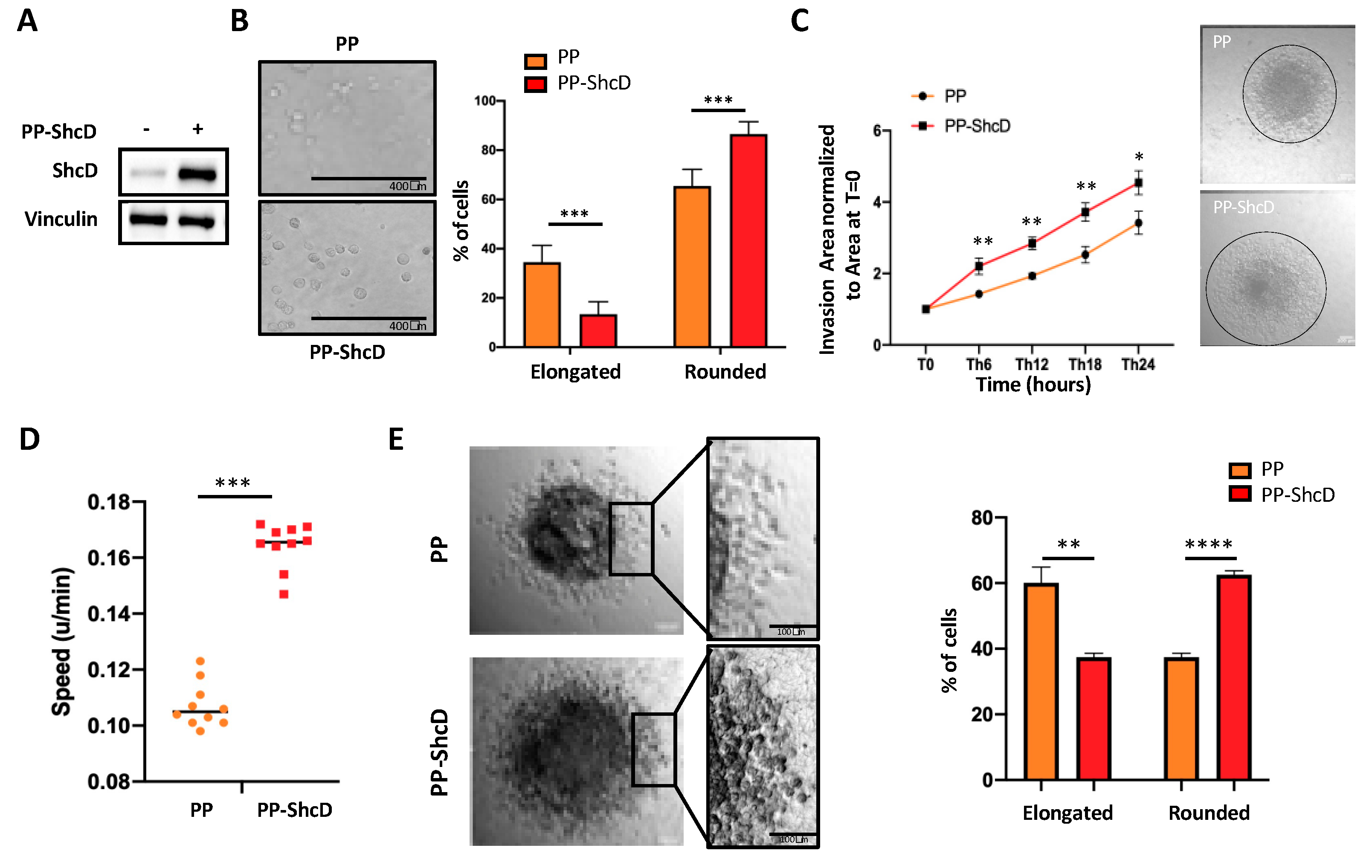 Cancers 12 03366 g002 Cancers 12 03366 g002