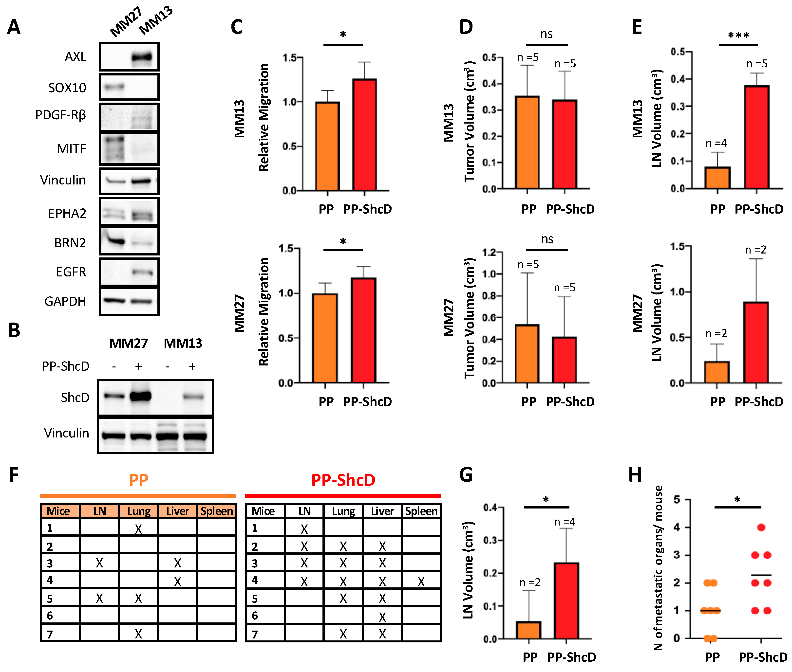 Cancers 12 03366 g003 Cancers 12 03366 g003