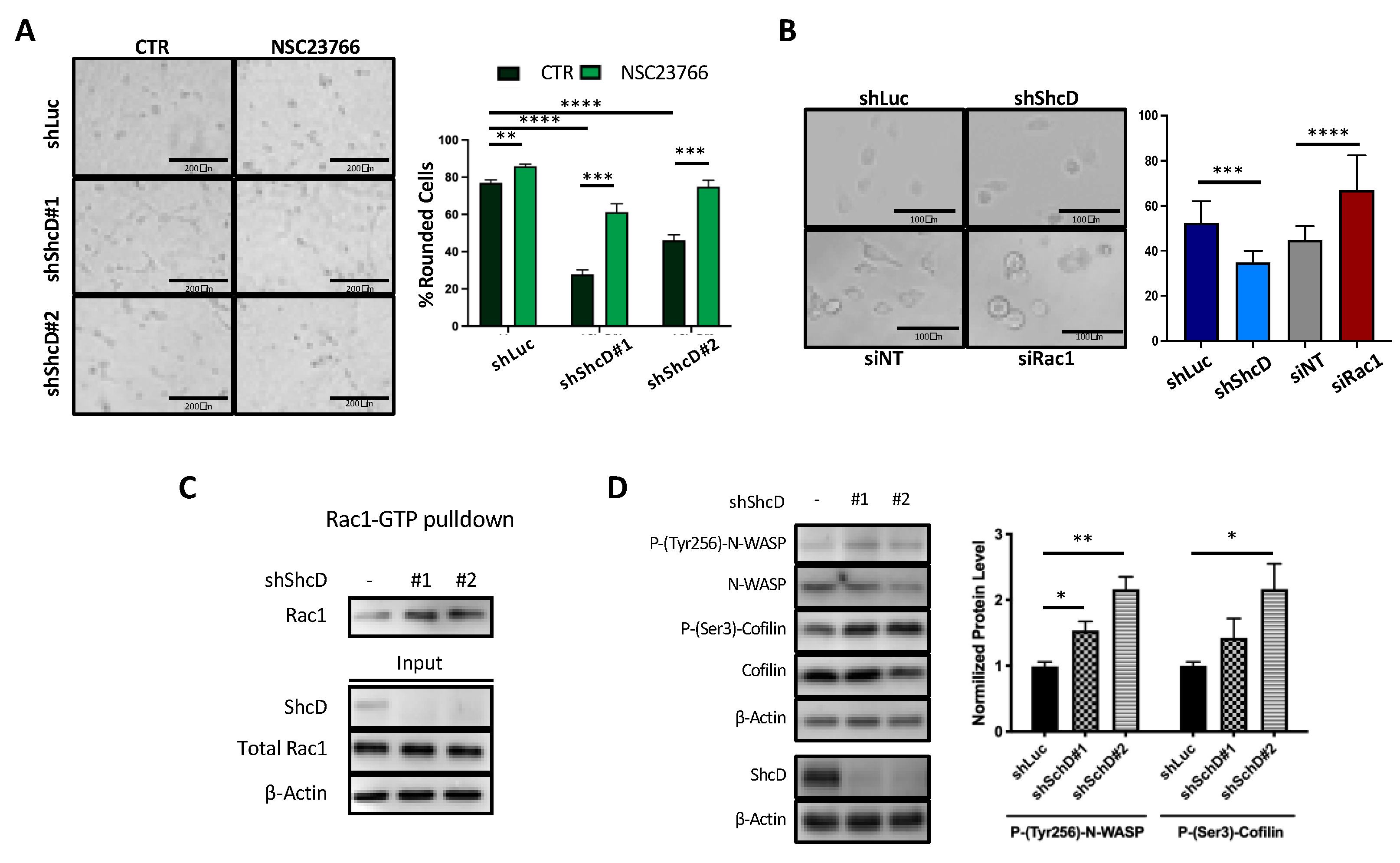 Cancers 12 03366 g005 Cancers 12 03366 g005