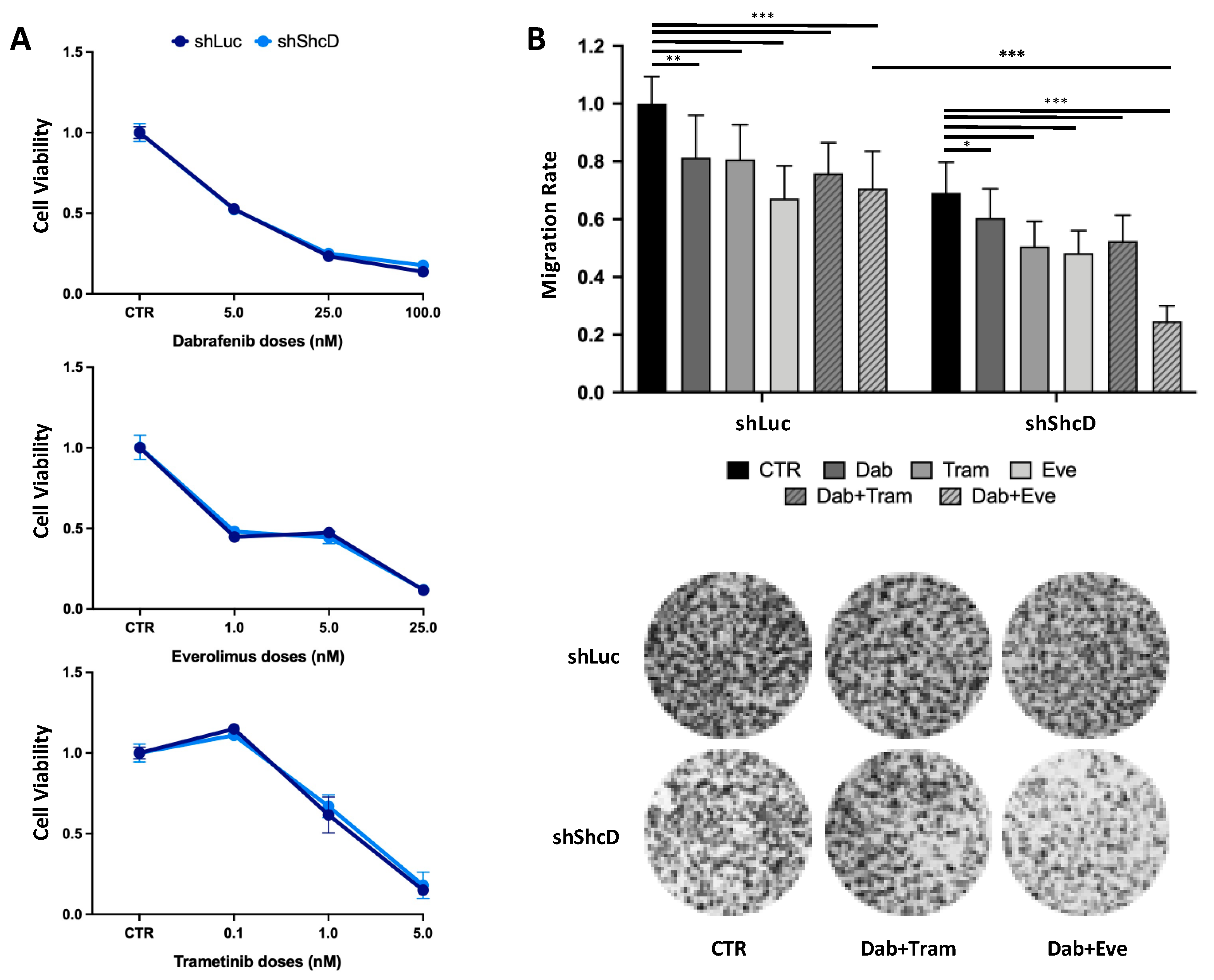 Cancers 12 03366 g007 Cancers 12 03366 g007