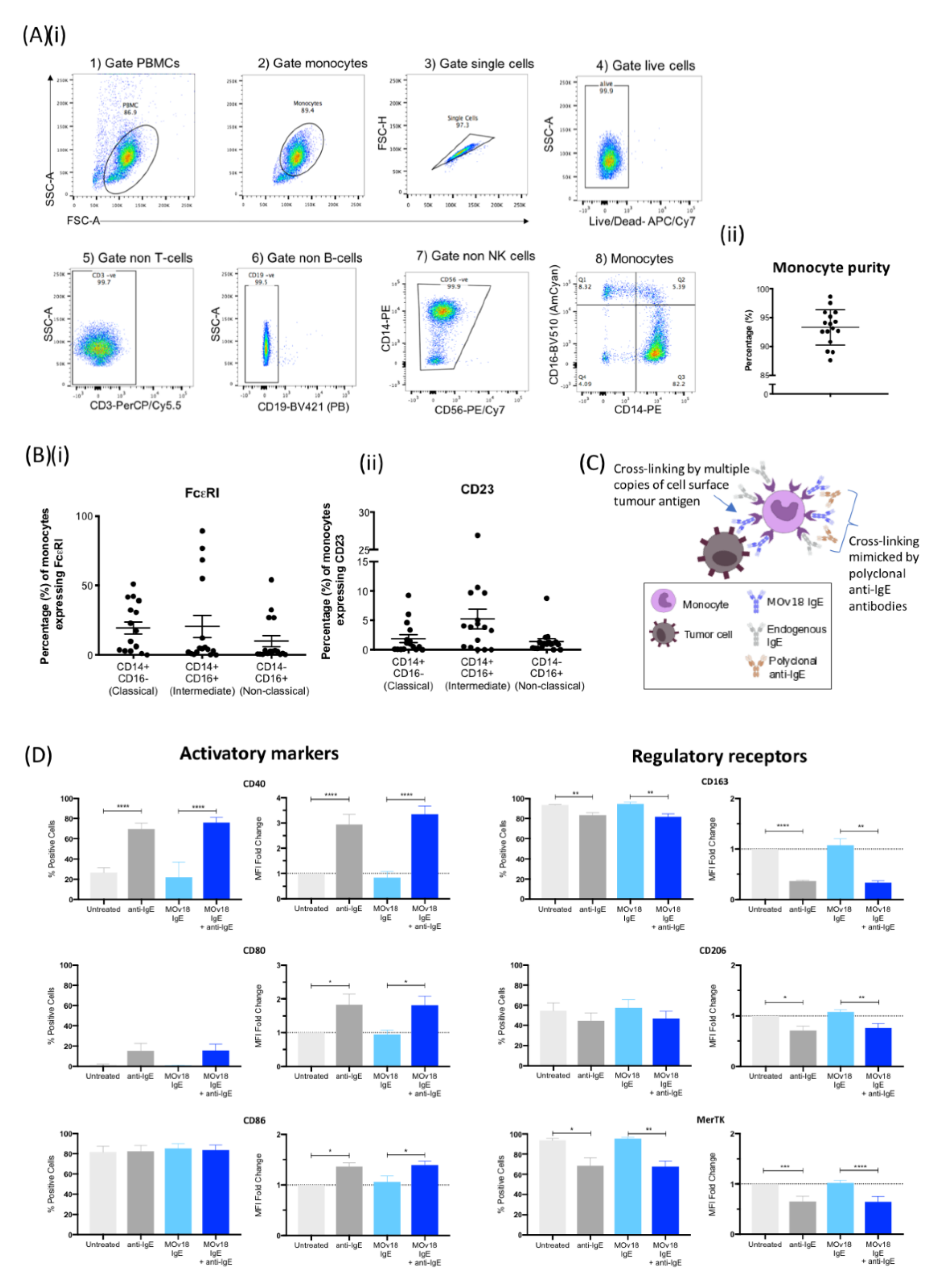 Cancers 12 03376 g001 Cancers 12 03376 g001