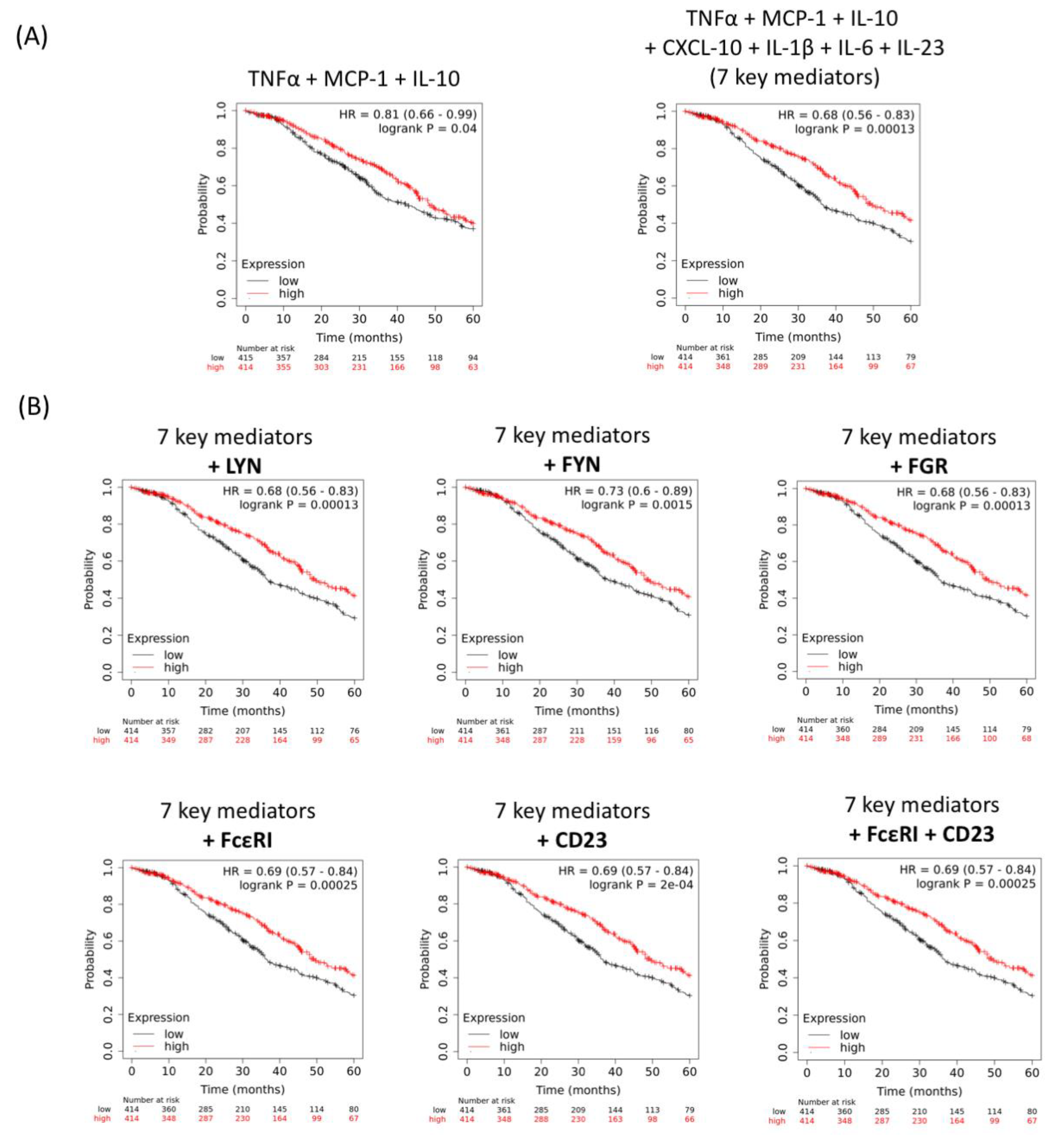 Cancers 12 03376 g006 Cancers 12 03376 g006