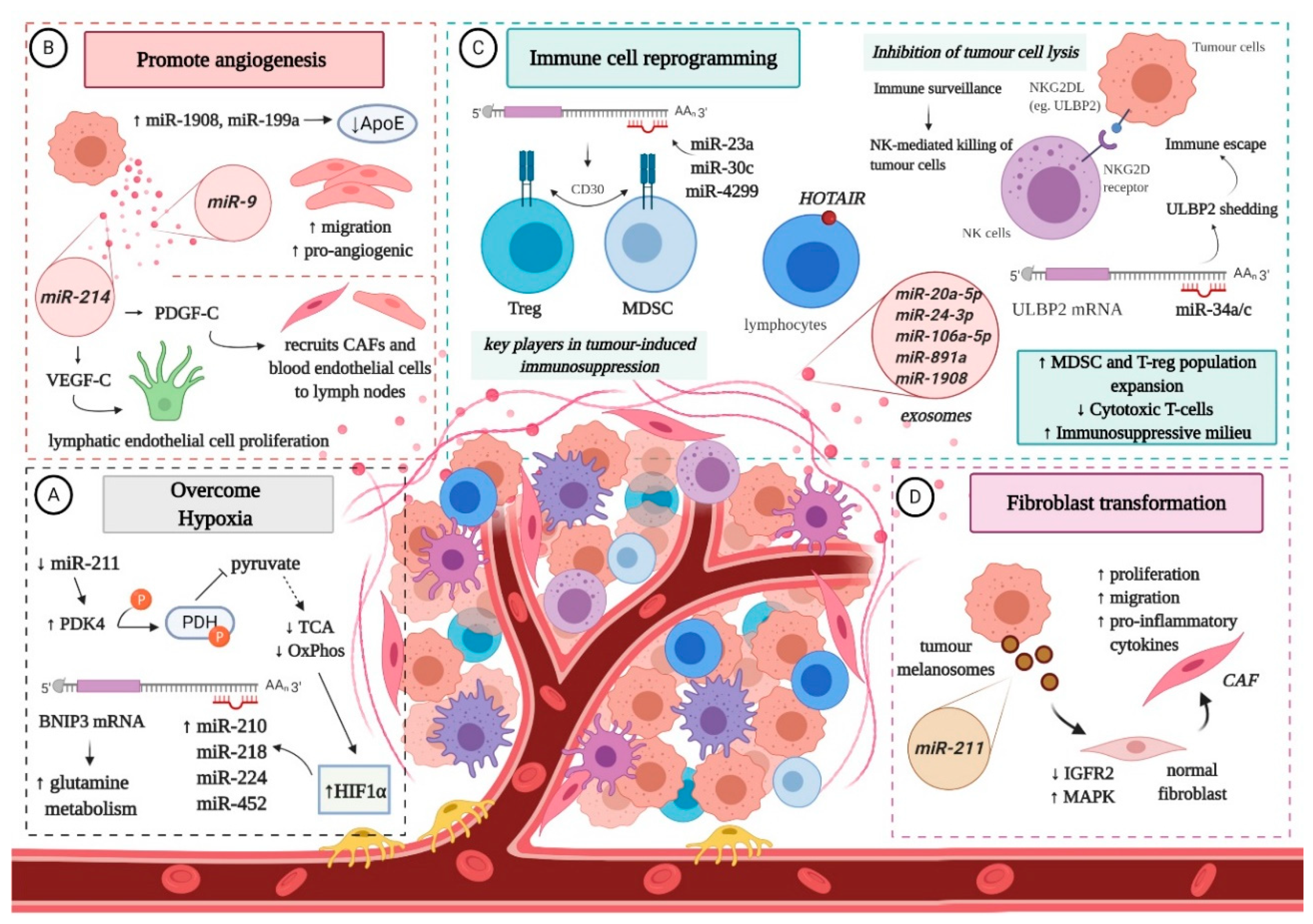 Cancers 12 03378 g002 Cancers 12 03378 g002