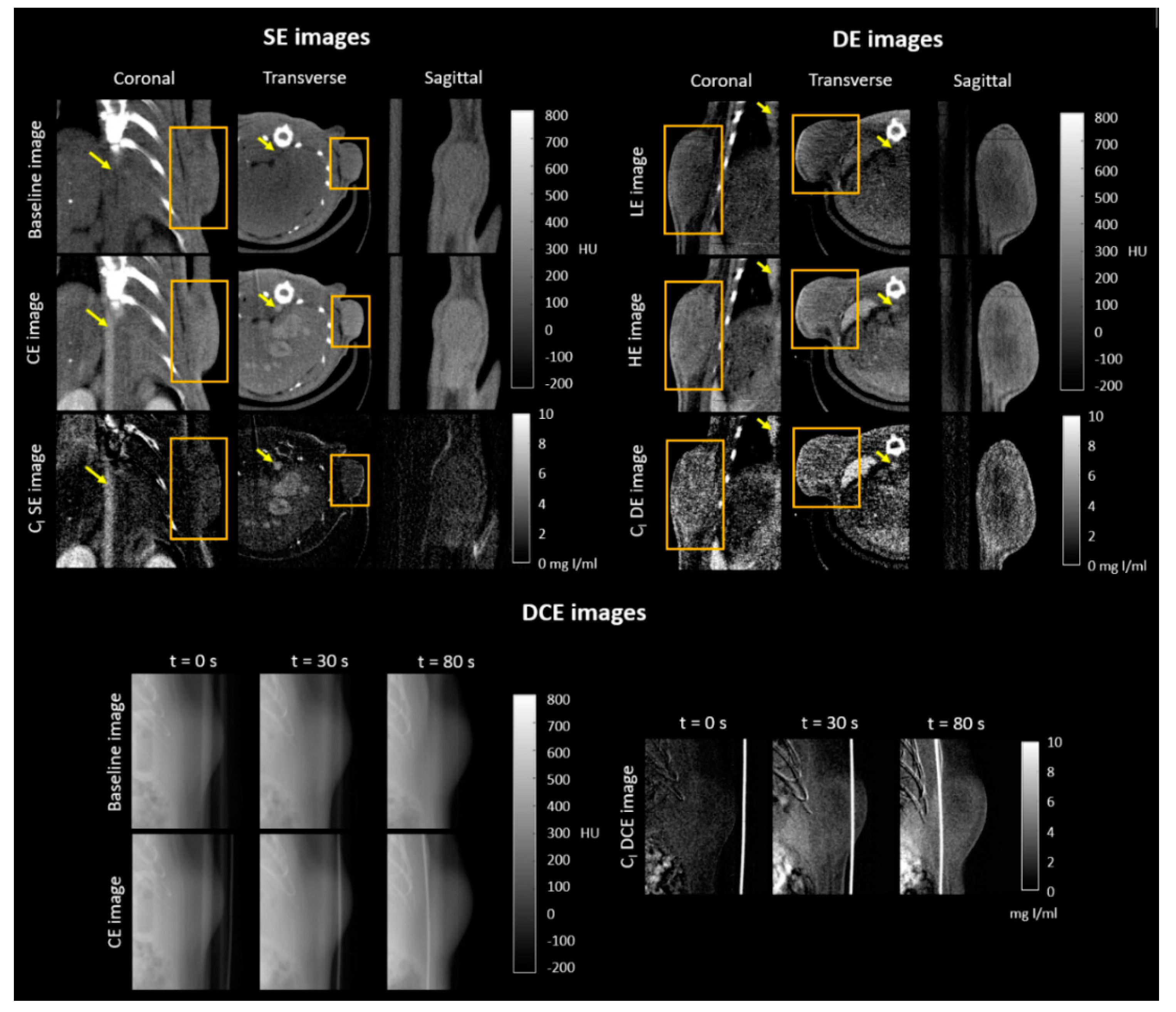 Cancers 12 03417 g001