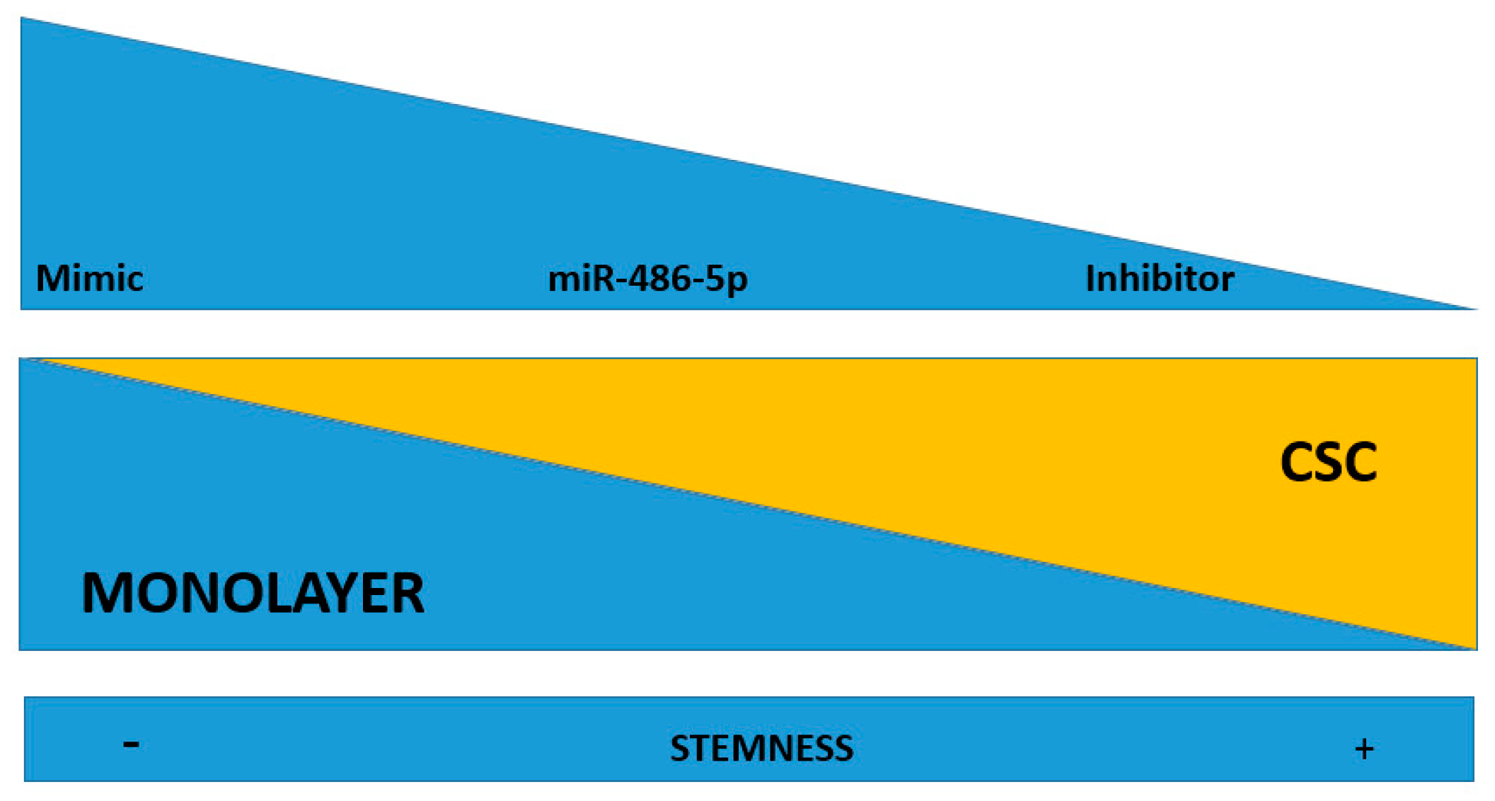 Cancers 12 03432 g006 Cancers 12 03432 g006