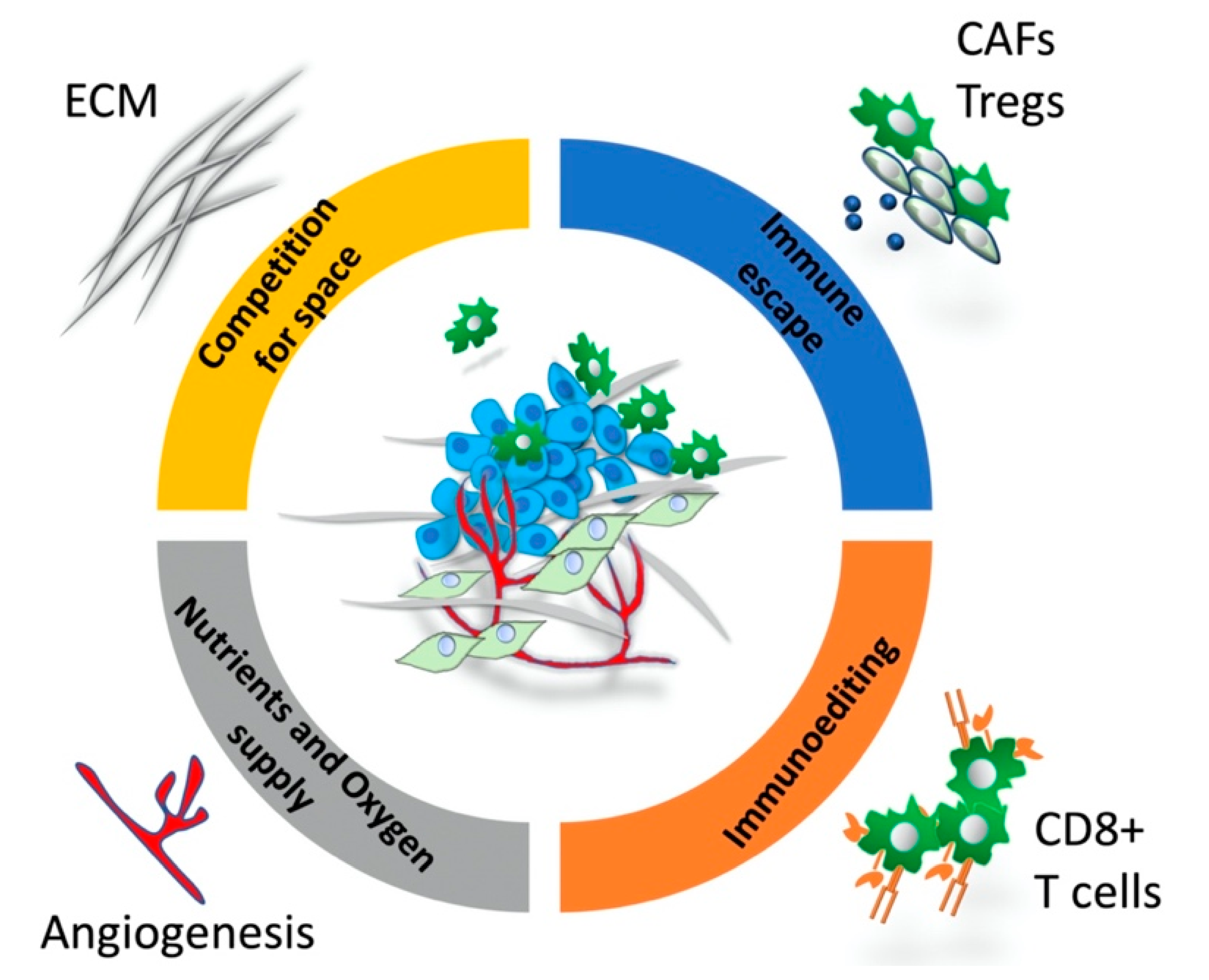 Cancers 12 03436 g001 Cancers 12 03436 g001