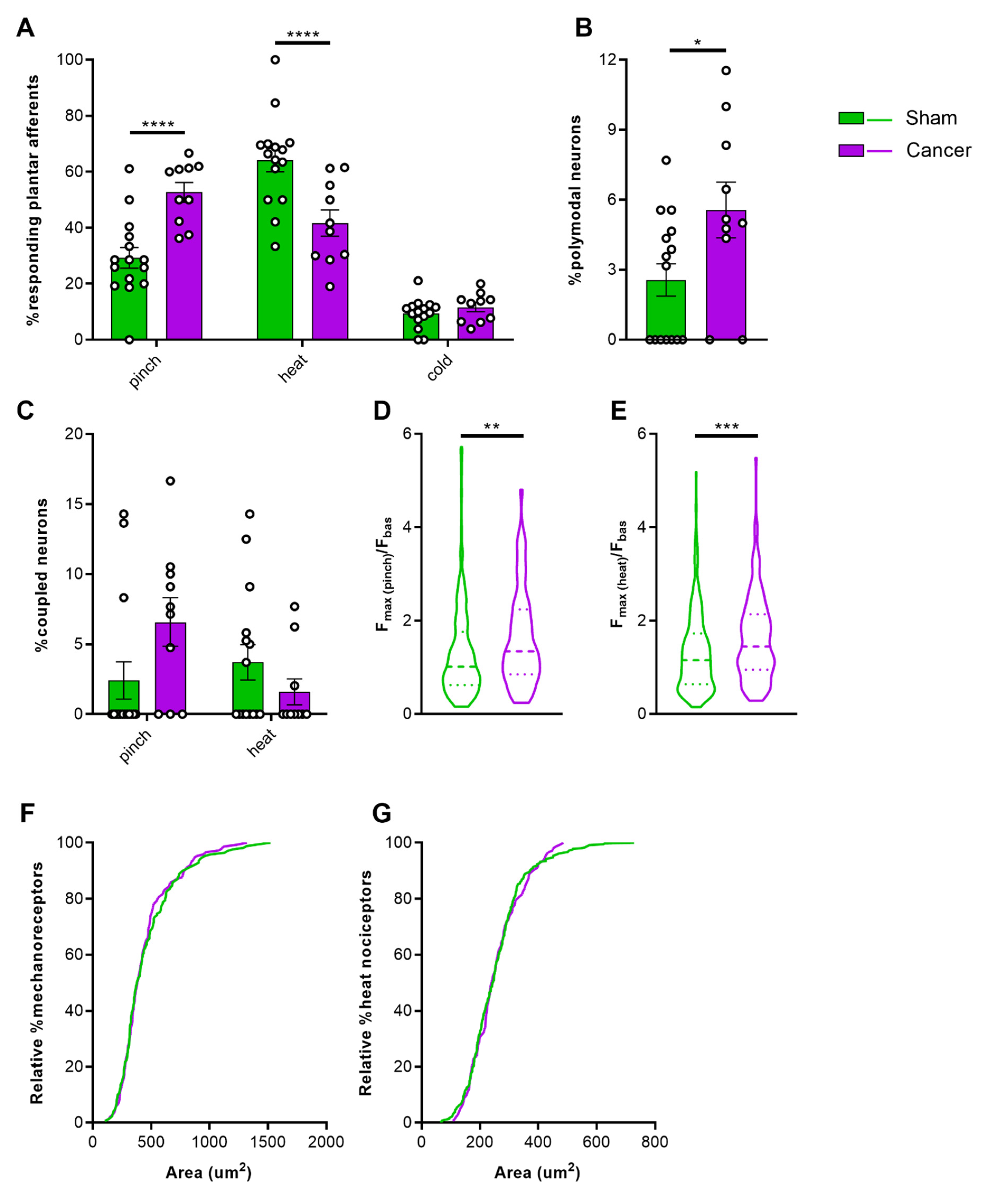 Cancers 12 03491 g003
