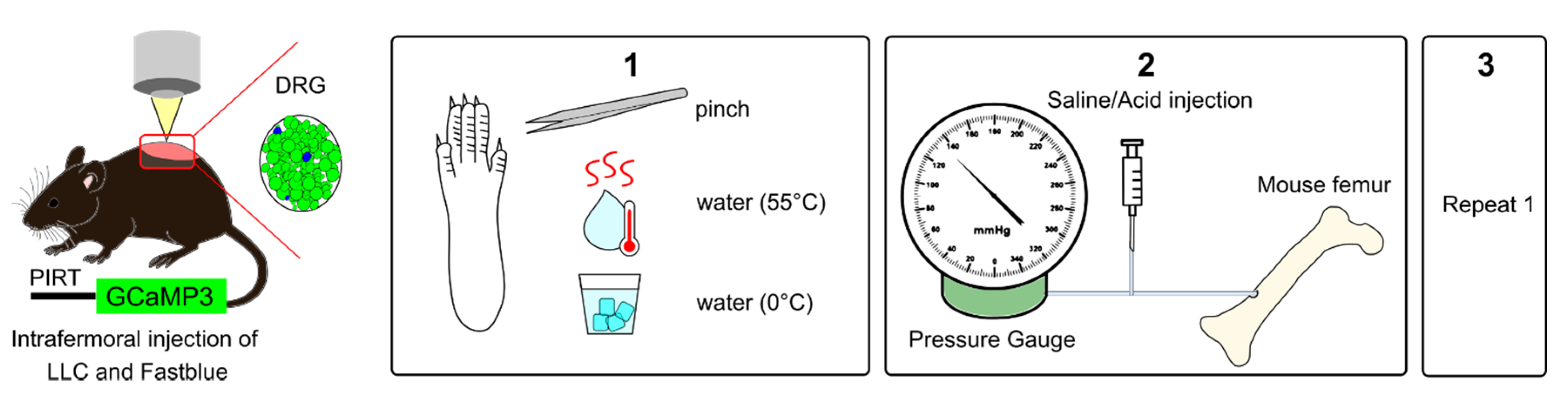 Cancers 12 03491 g004
