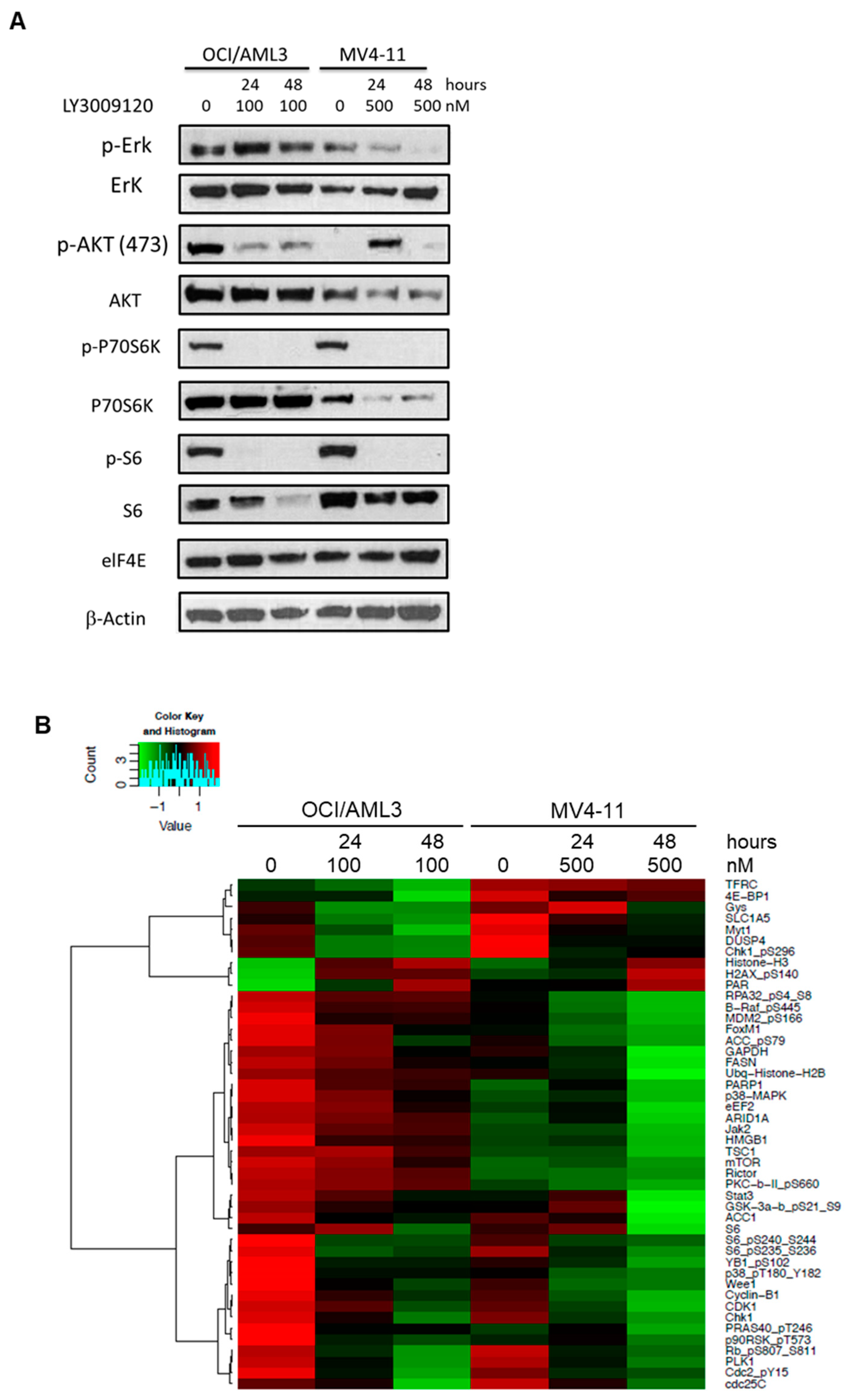 Cancers 12 03511 g002