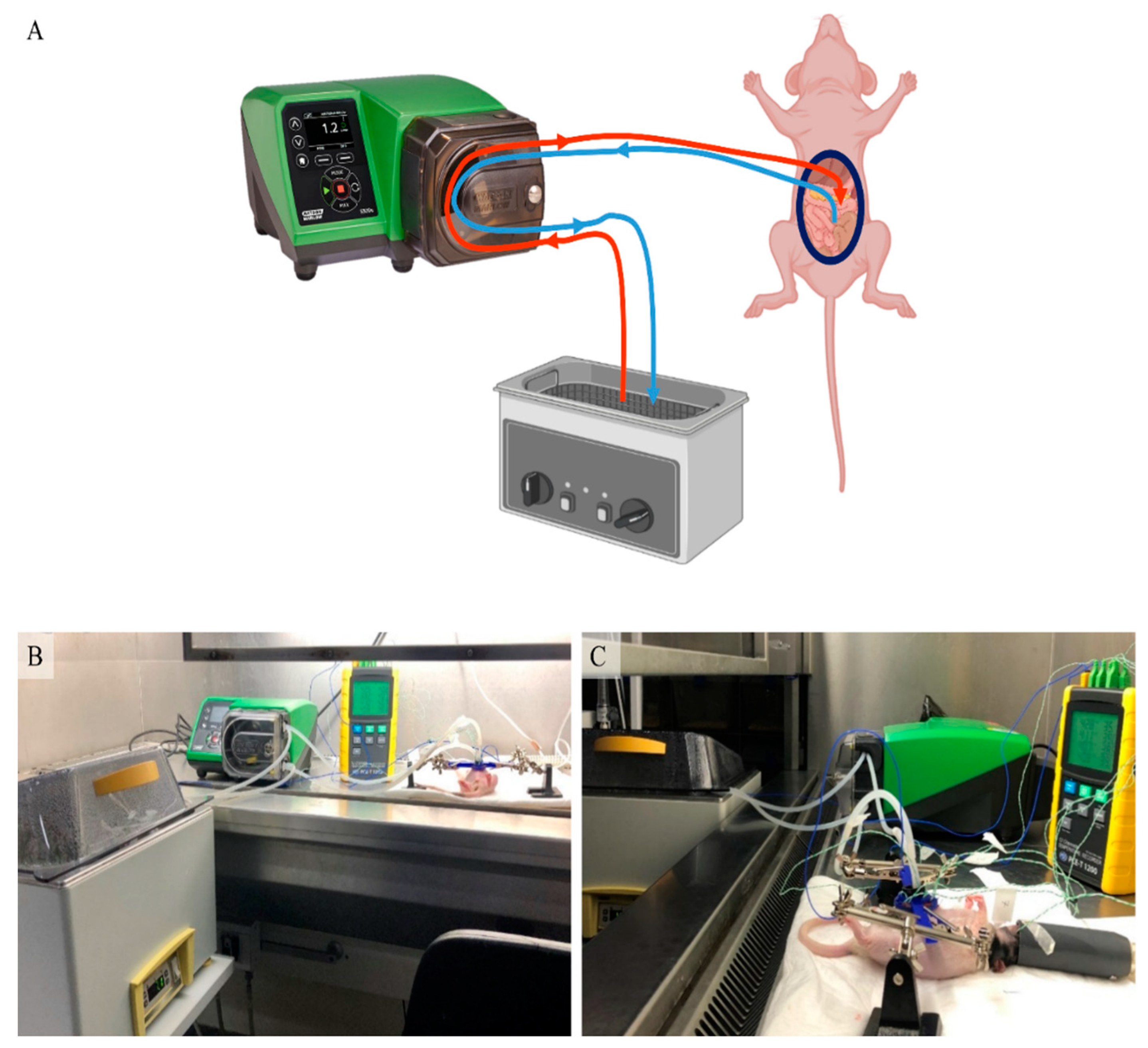 Cancers 12 03516 g001 Cancers 12 03516 g001