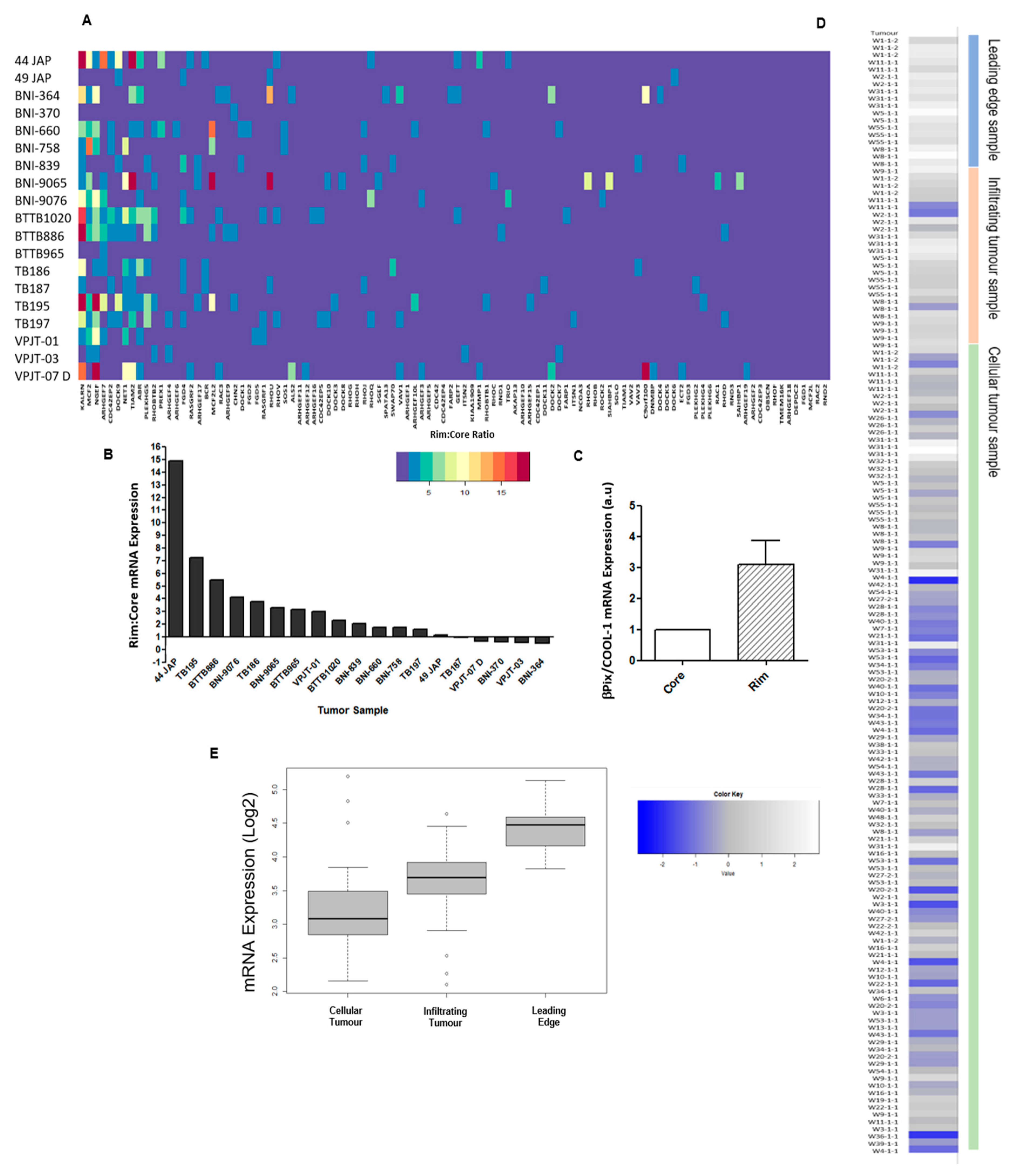 Cancers 12 03531 g001