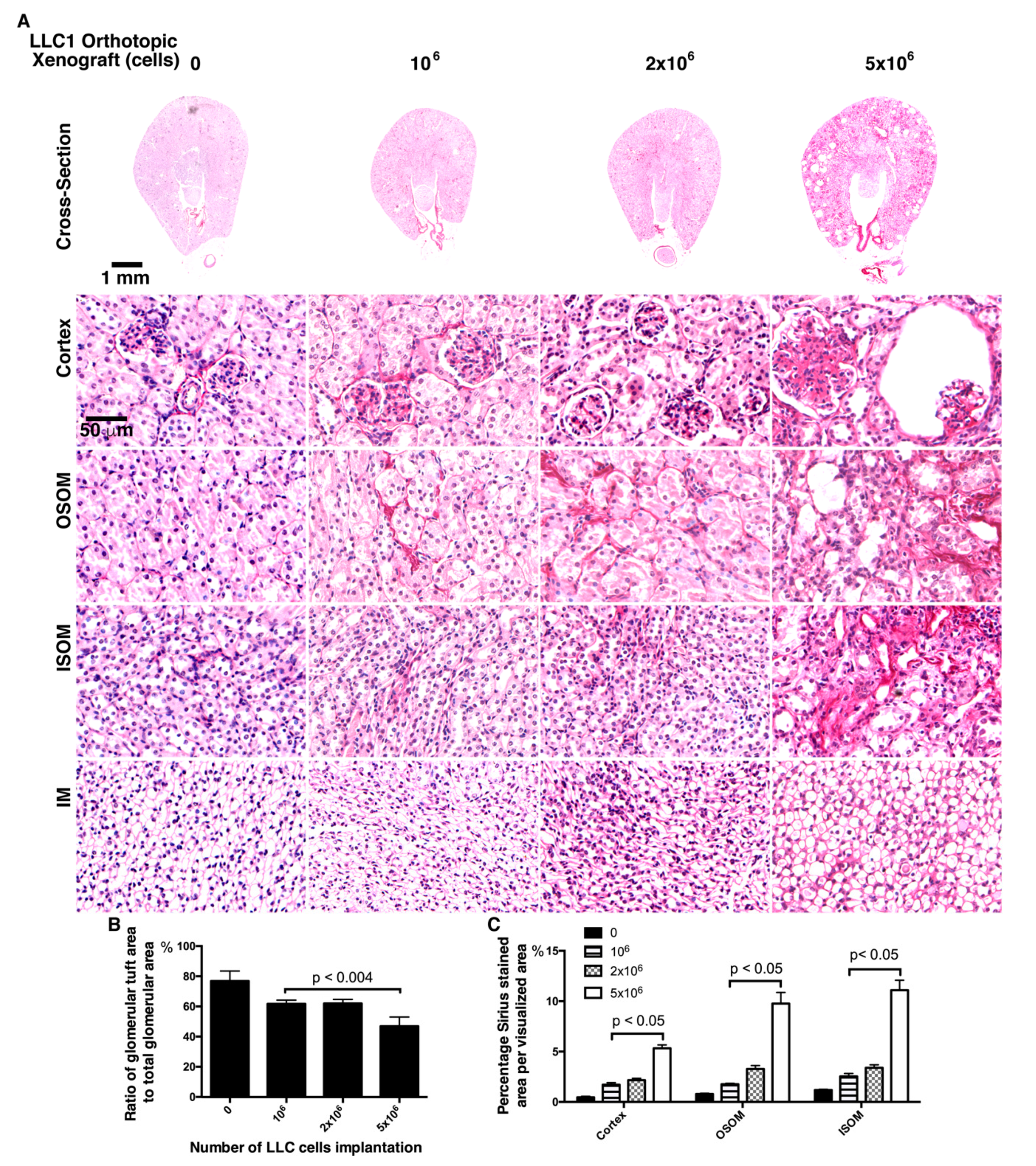 Cancers 12 03561 g005