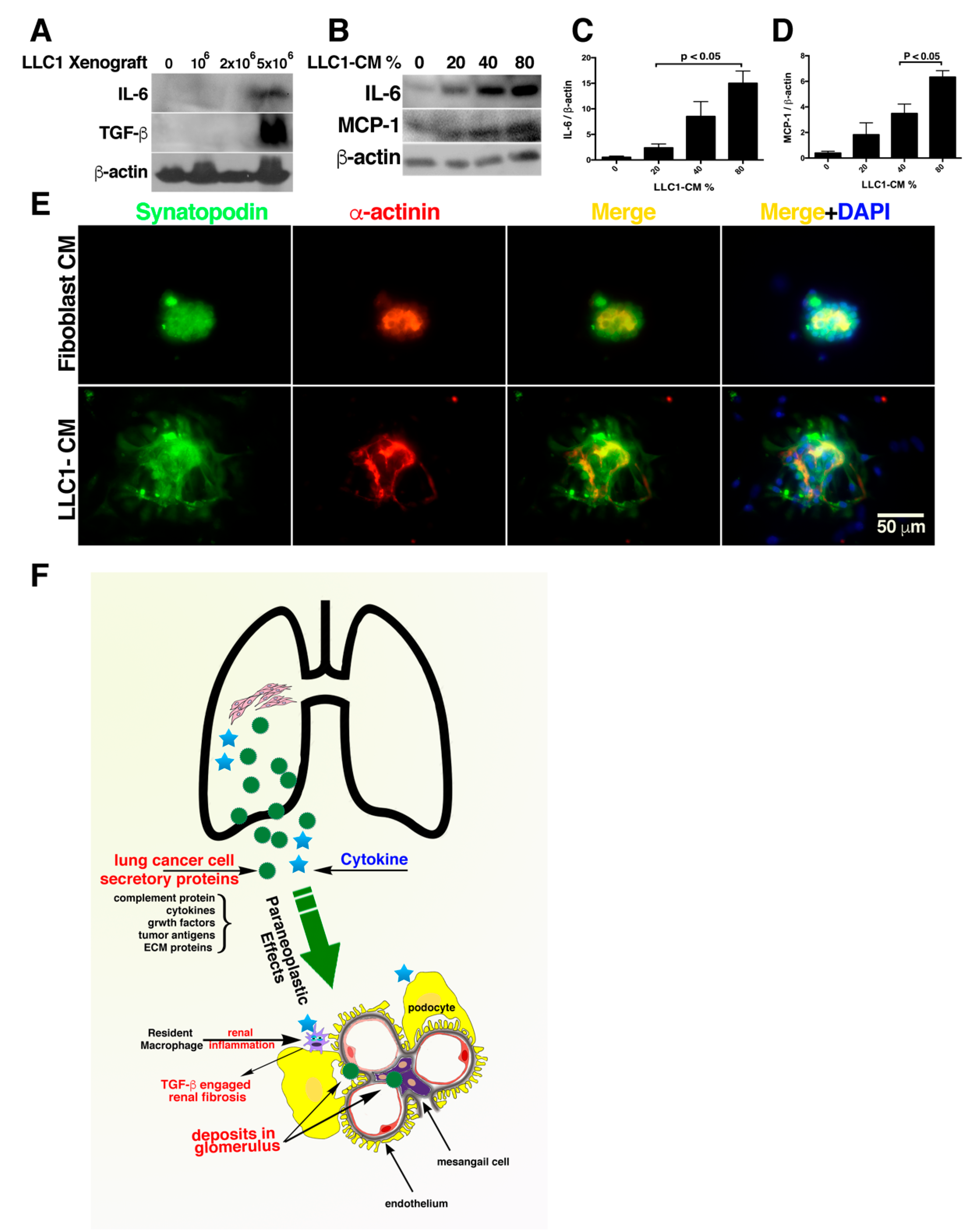 Cancers 12 03561 g007