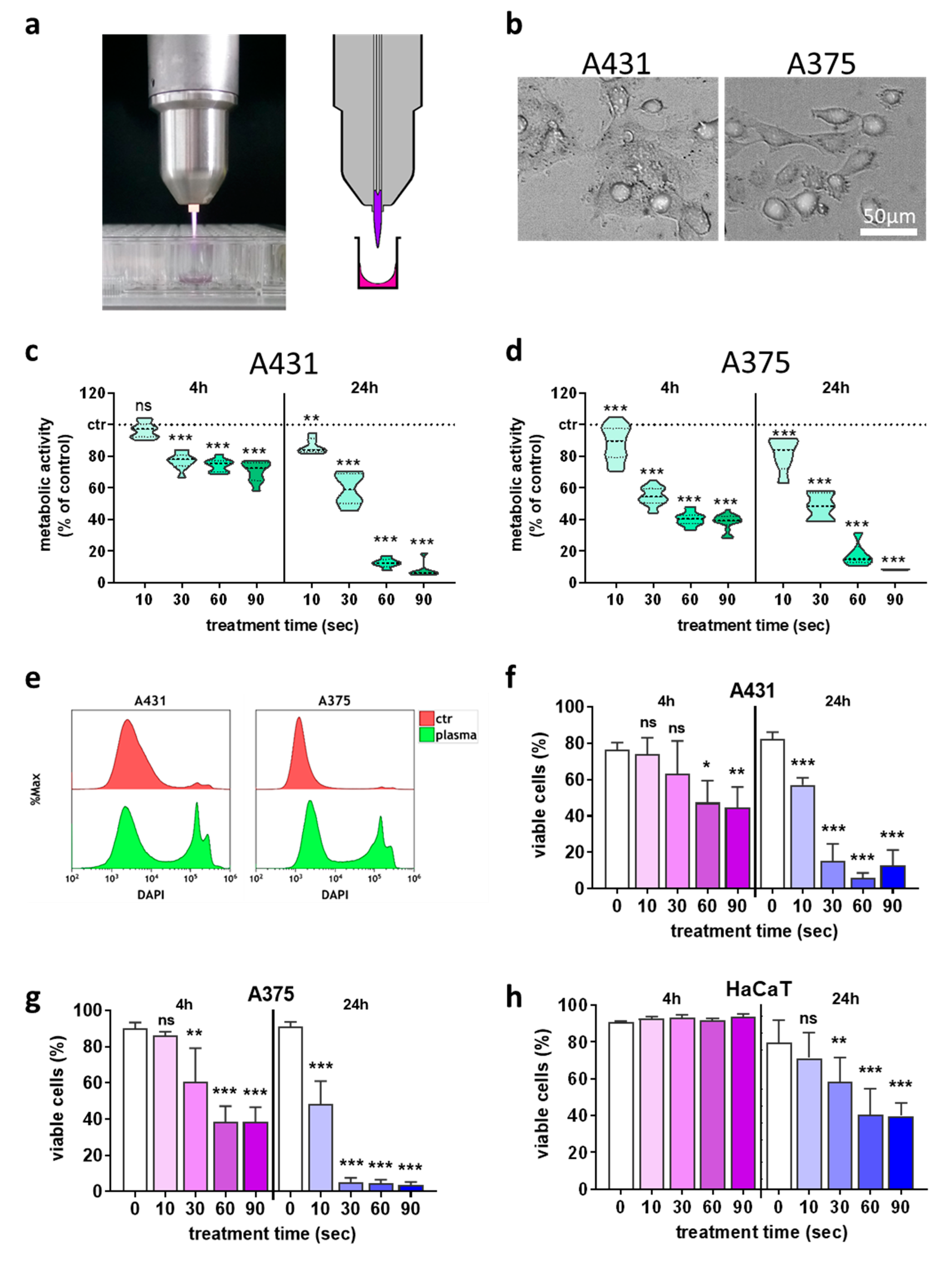 Cancers Free Full Text Physical Plasma Treated Skin Cancer Cells Amplify Tumor Cytotoxicity Of Human Natural Killer Nk Cells