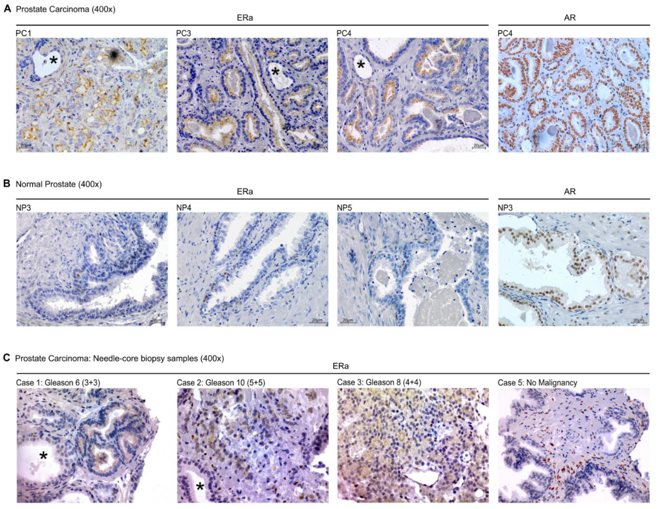 Cancers 12 03591 g007