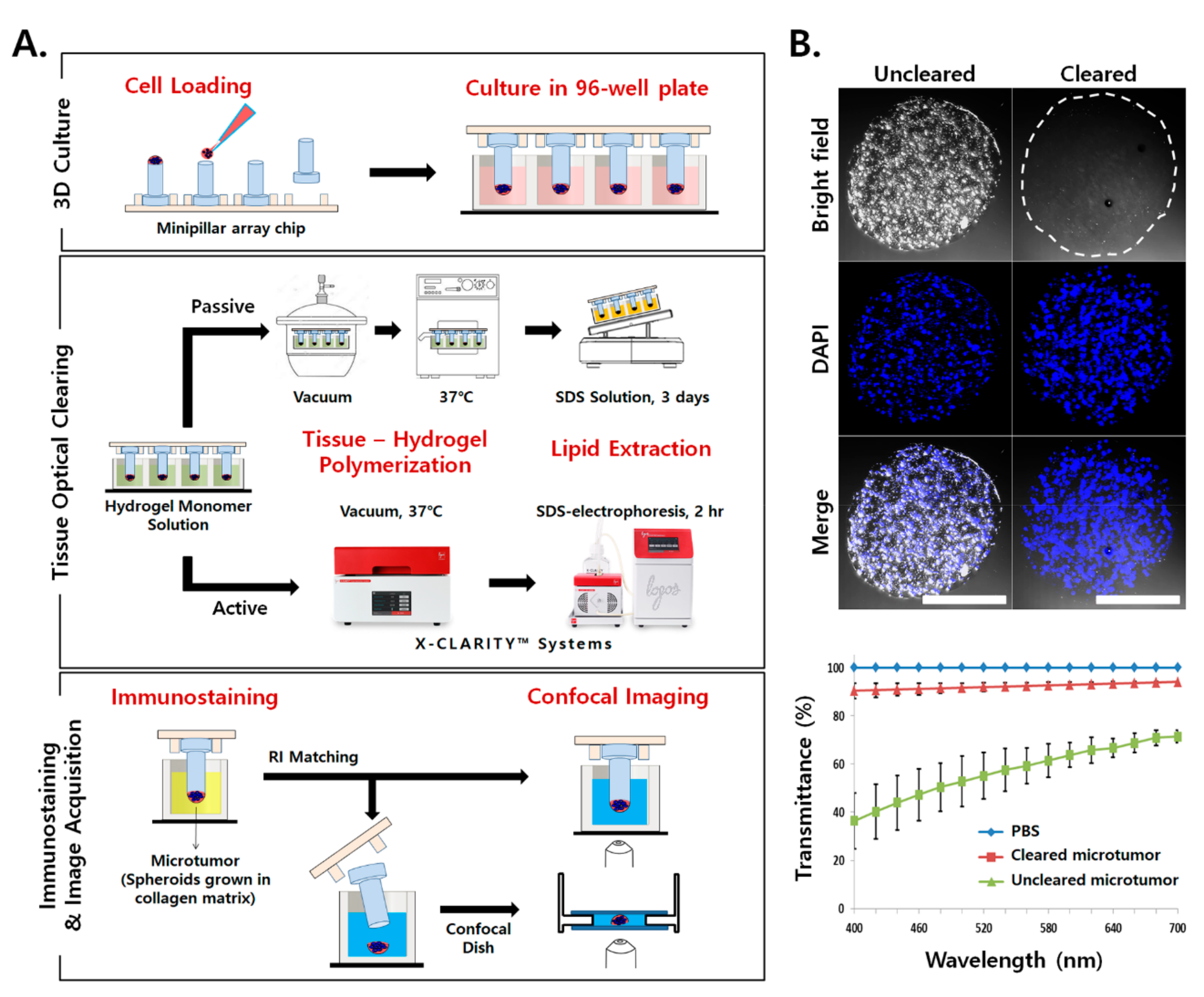 Cancers 12 03662 g001