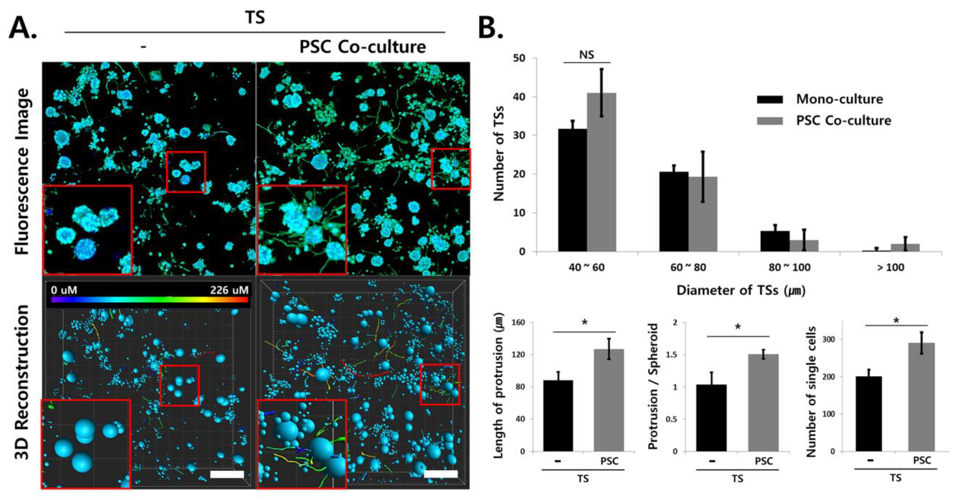 Cancers 12 03662 g007
