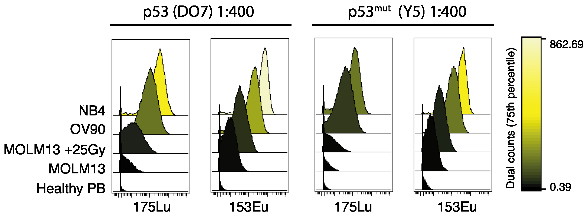 Cancers 12 03699 g002