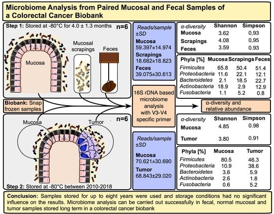 Cancers | Free Full-Text | Microbiome Analysis From Paired Mucosal And ...