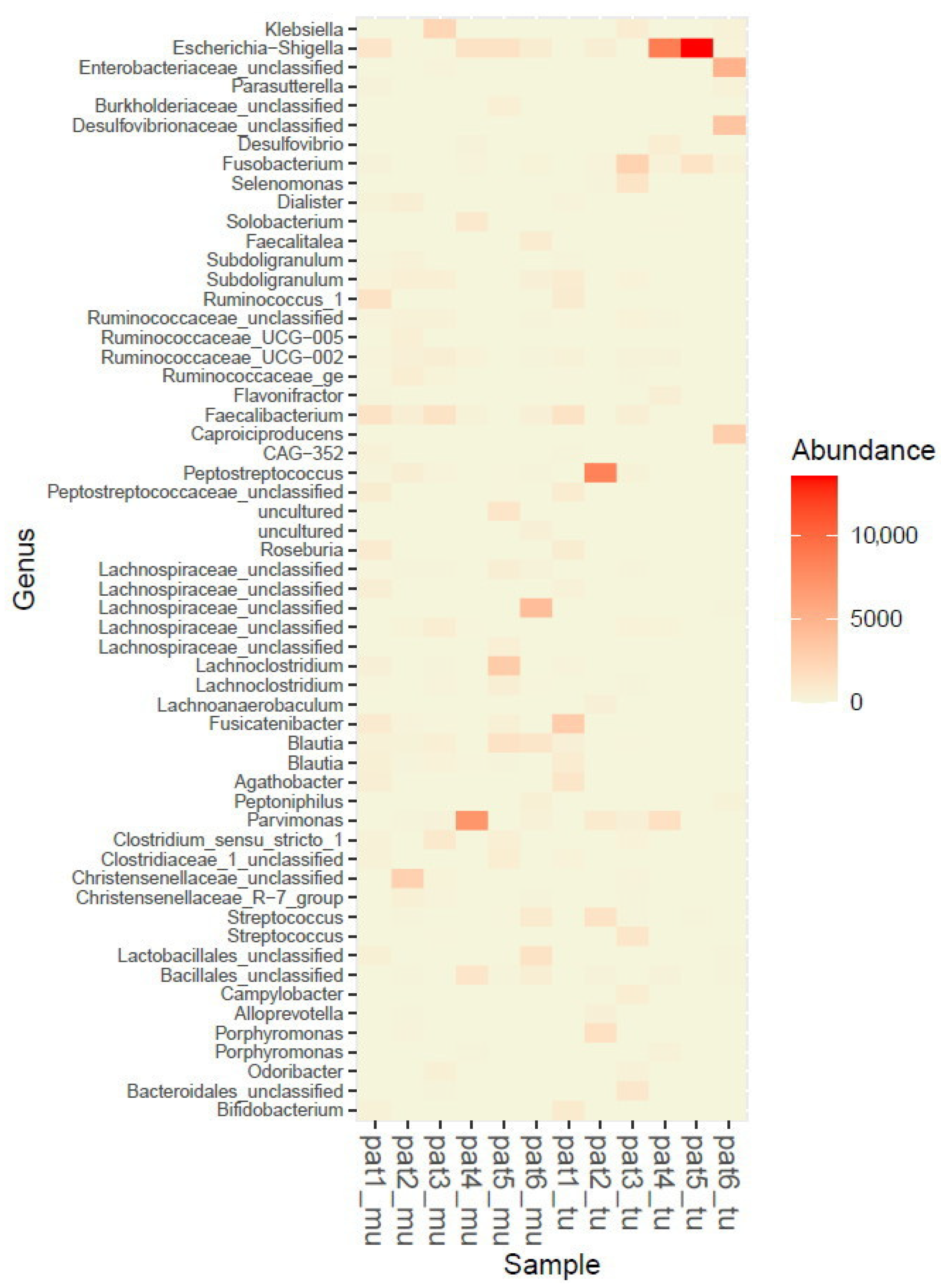Cancers 12 03702 g003