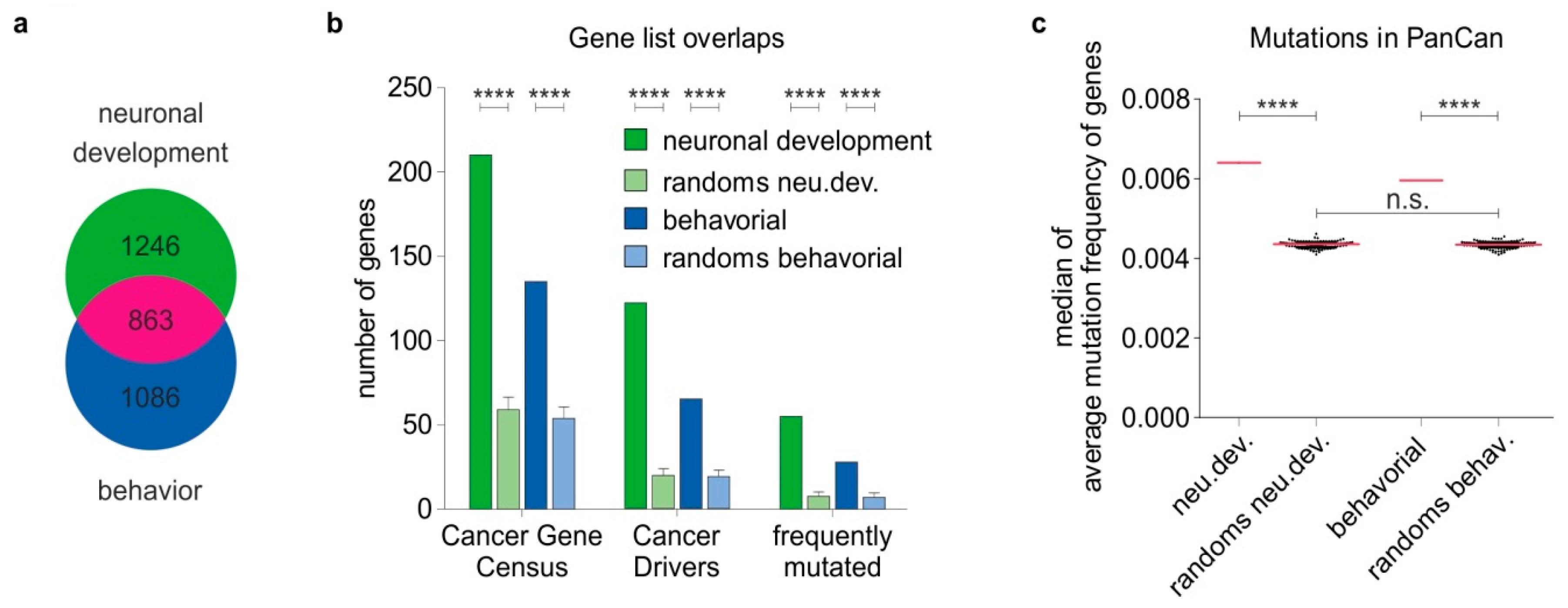 Cancers Free Full Text Neural Networks Recapitulation By Cancer Cells Promotes Disease Progression A Novel Role Of P73 Isoforms In Cancer Neuronal Crosstalk Html