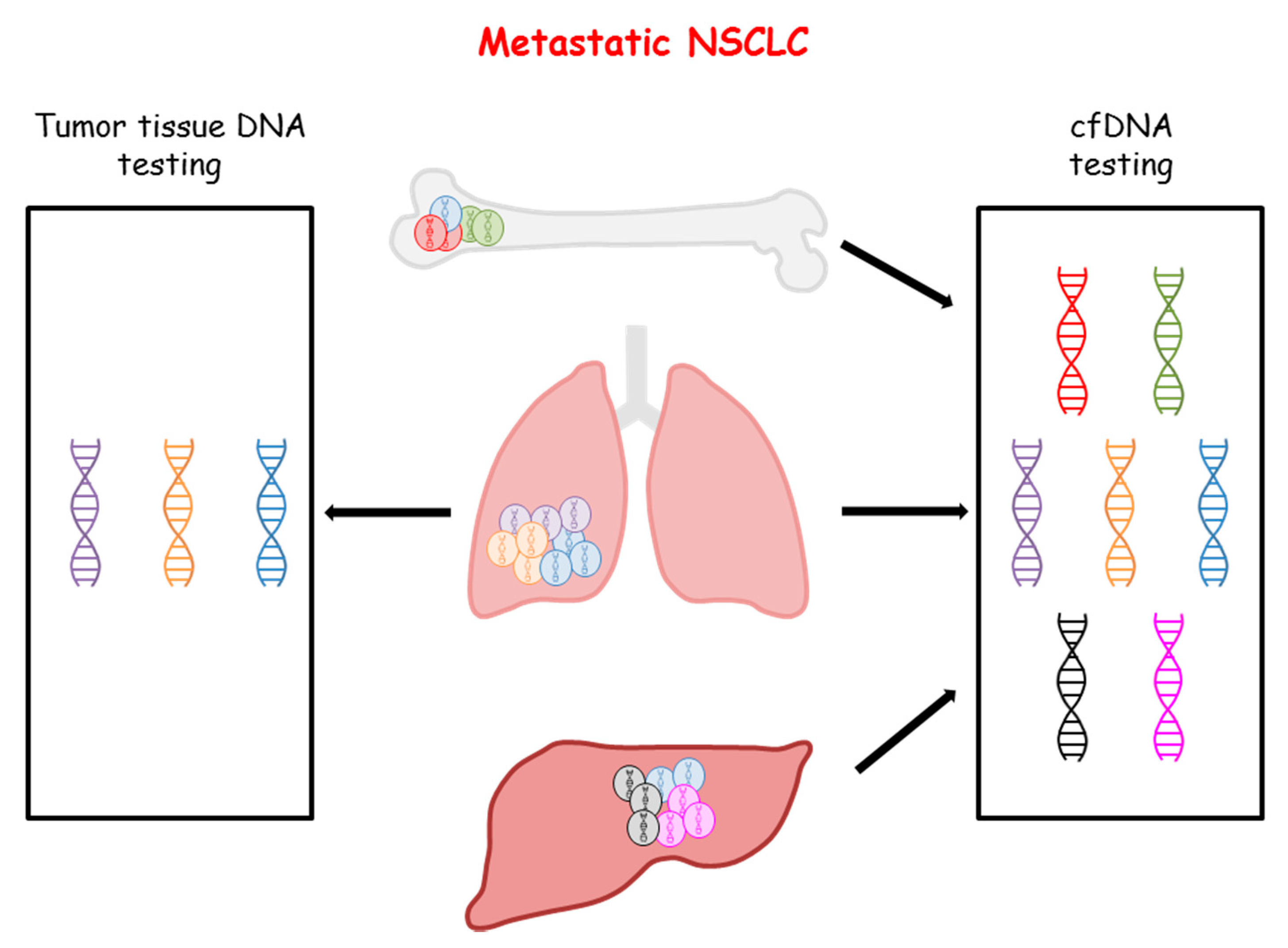 Cancers 12 03804 g001 Cancers 12 03804 g001