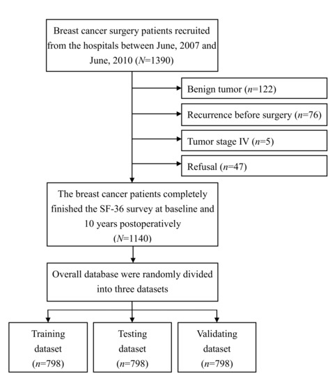 Learning About Breast Cancer Surgery