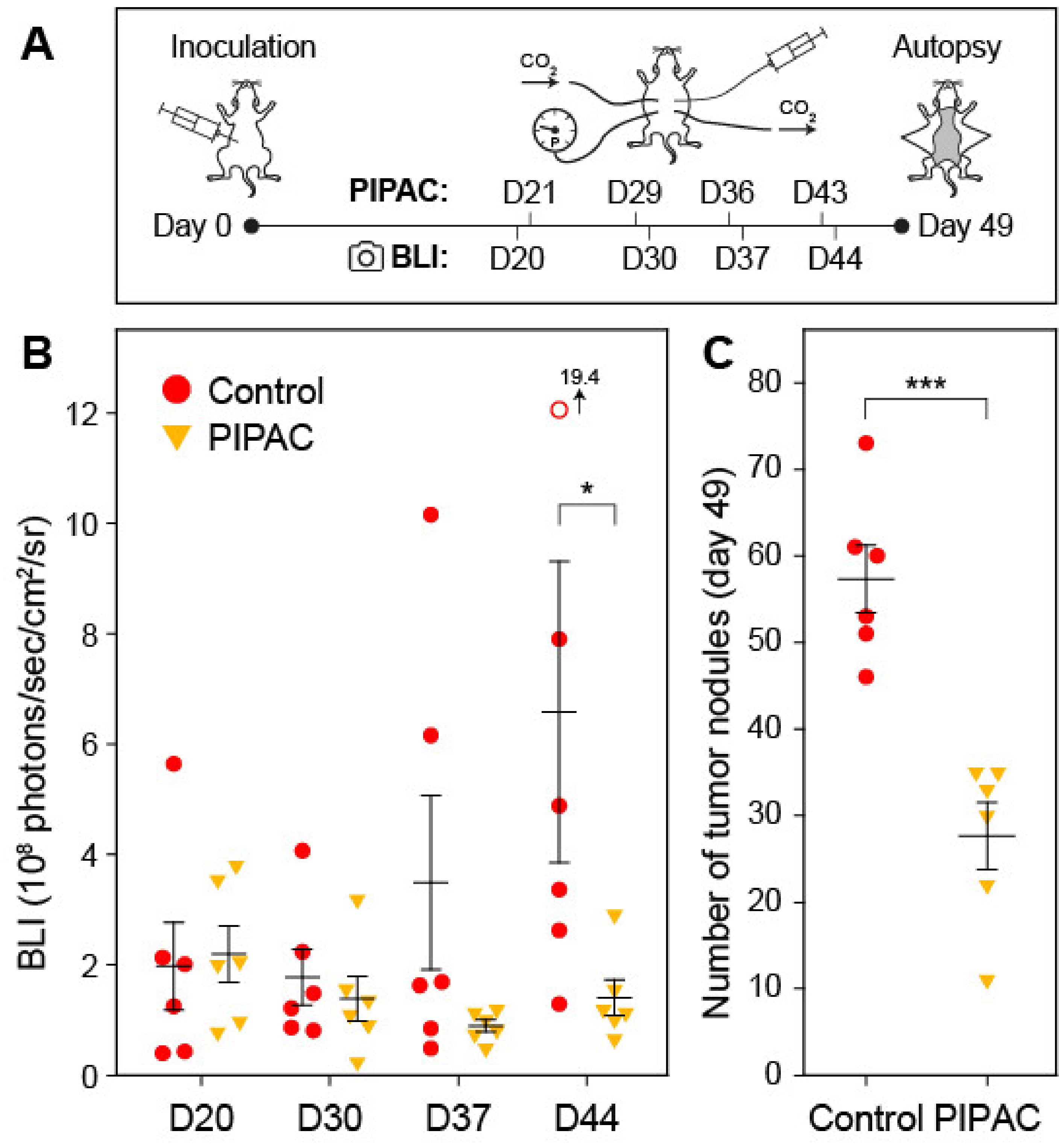 Cancers 12 03818 g006