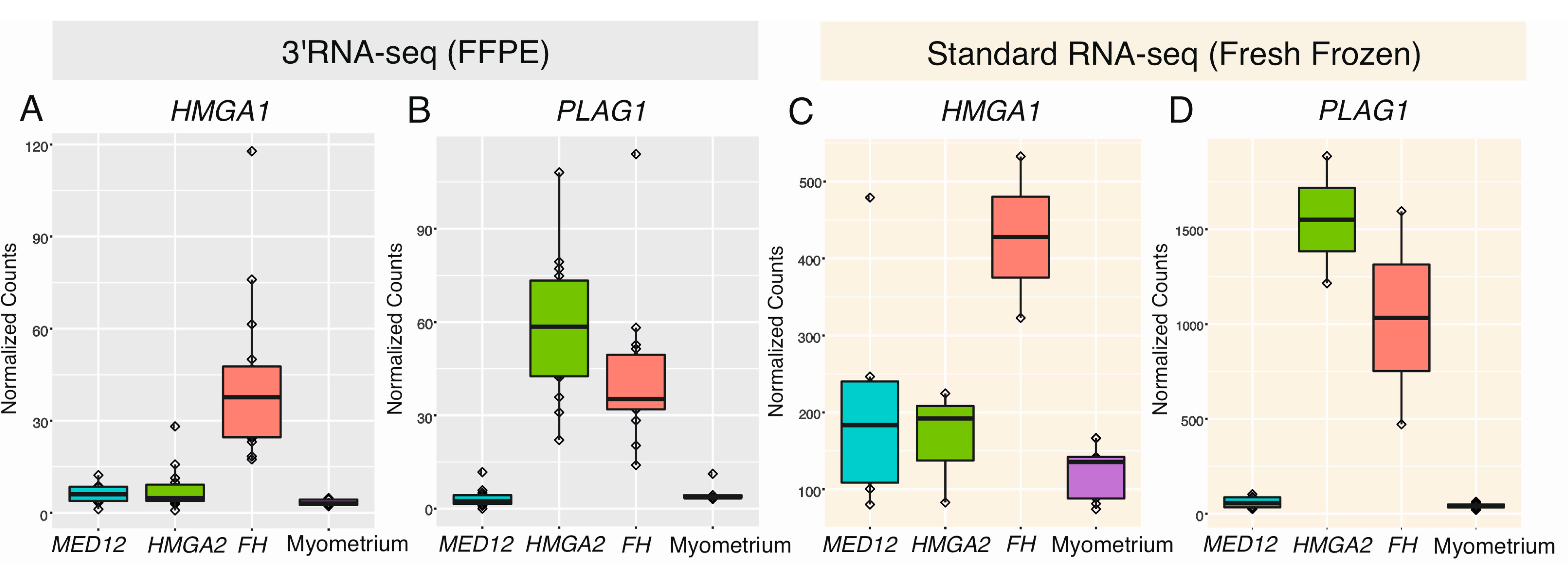 Cancers 12 03839 g005 Cancers 12 03839 g005