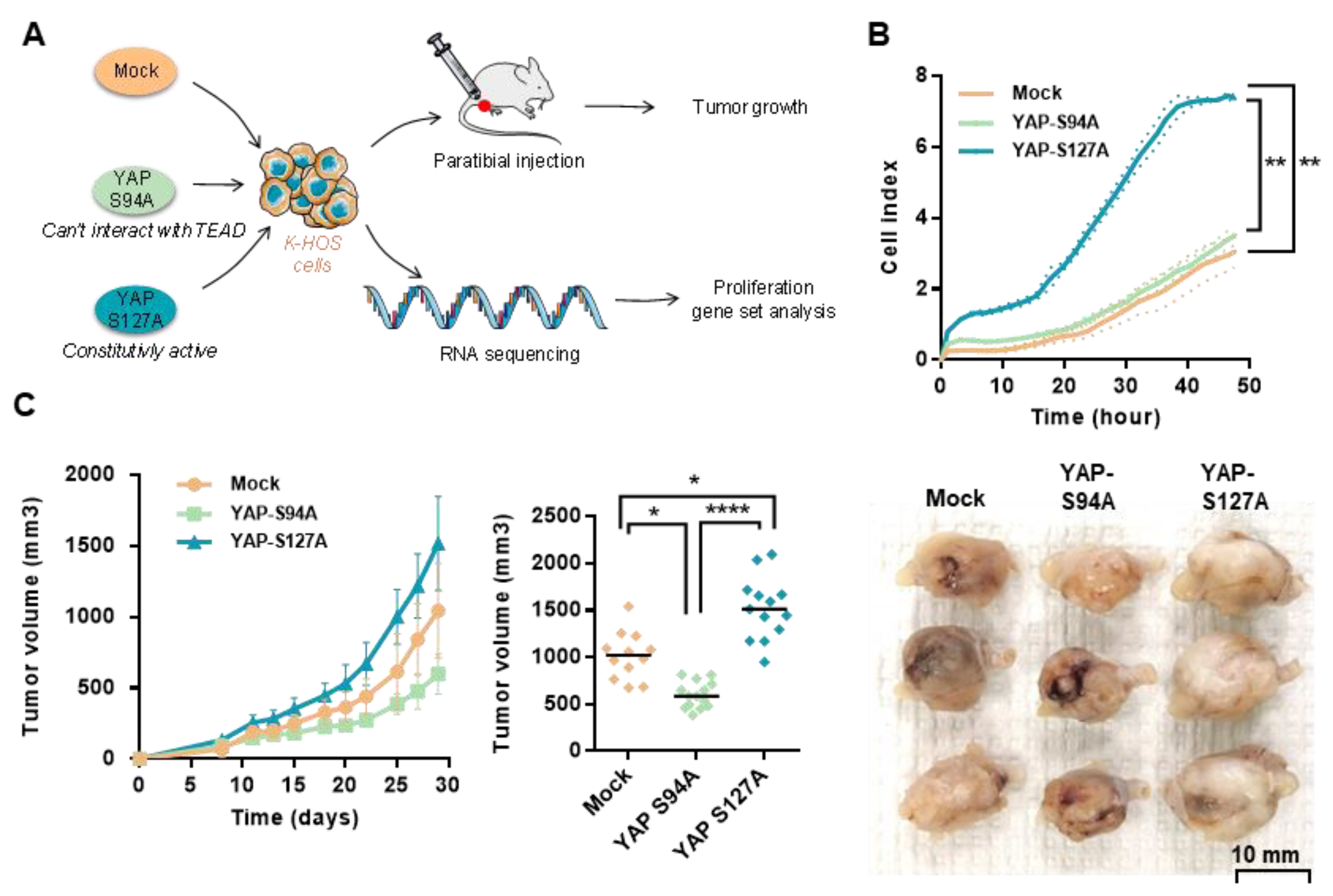 Cancers 12 03847 g003