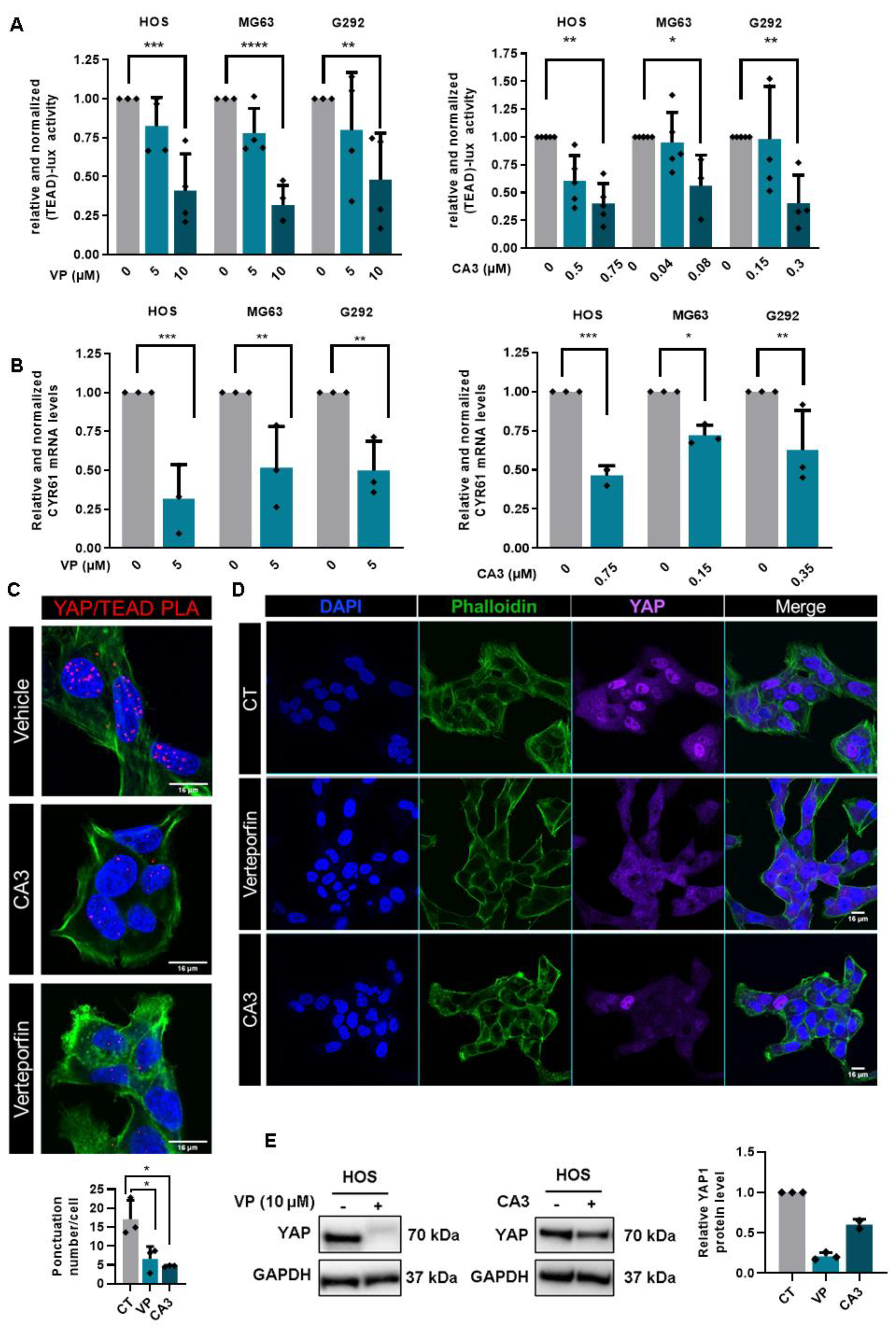 Cancers 12 03847 g005