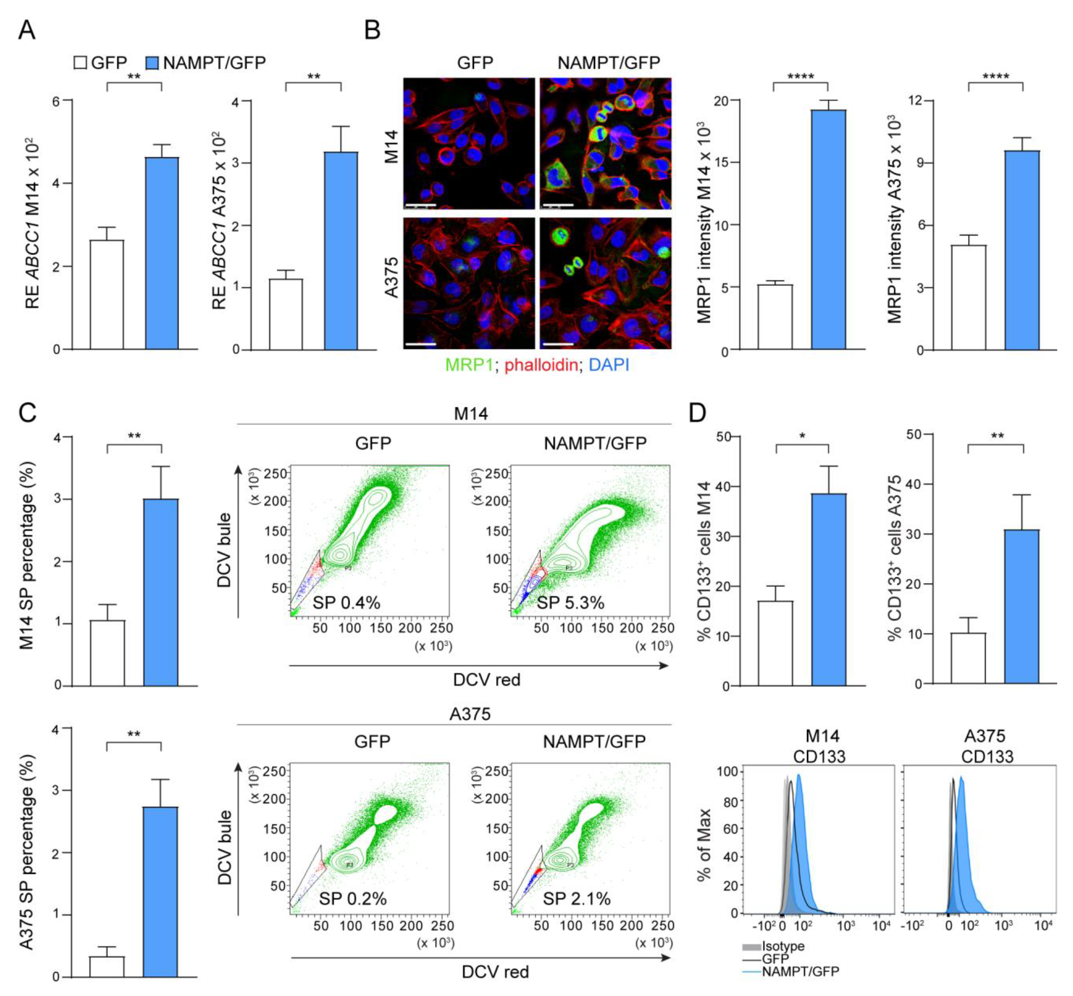 Cancers 12 03855 g004 Cancers 12 03855 g004