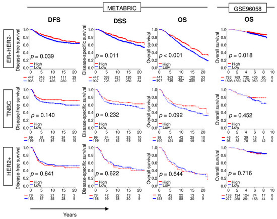 Cancers Free Full Text High Expression Of Nrf2 Is Associated With Increased Tumor Infiltrating Lymphocytes And Cancer Immunity In Er Positive Her2 Negative Breast Cancer Html