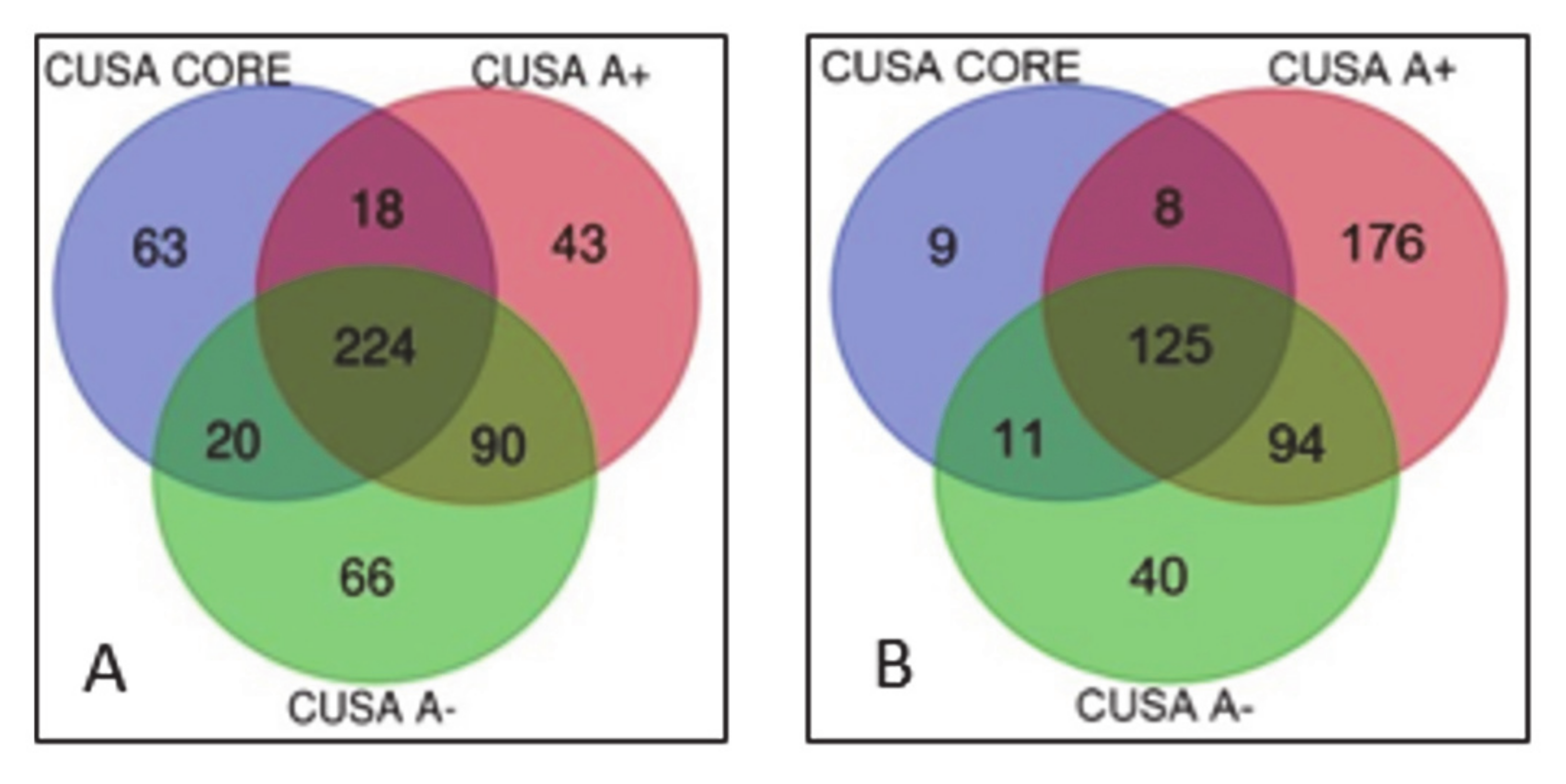 Cancers 13 00030 g001