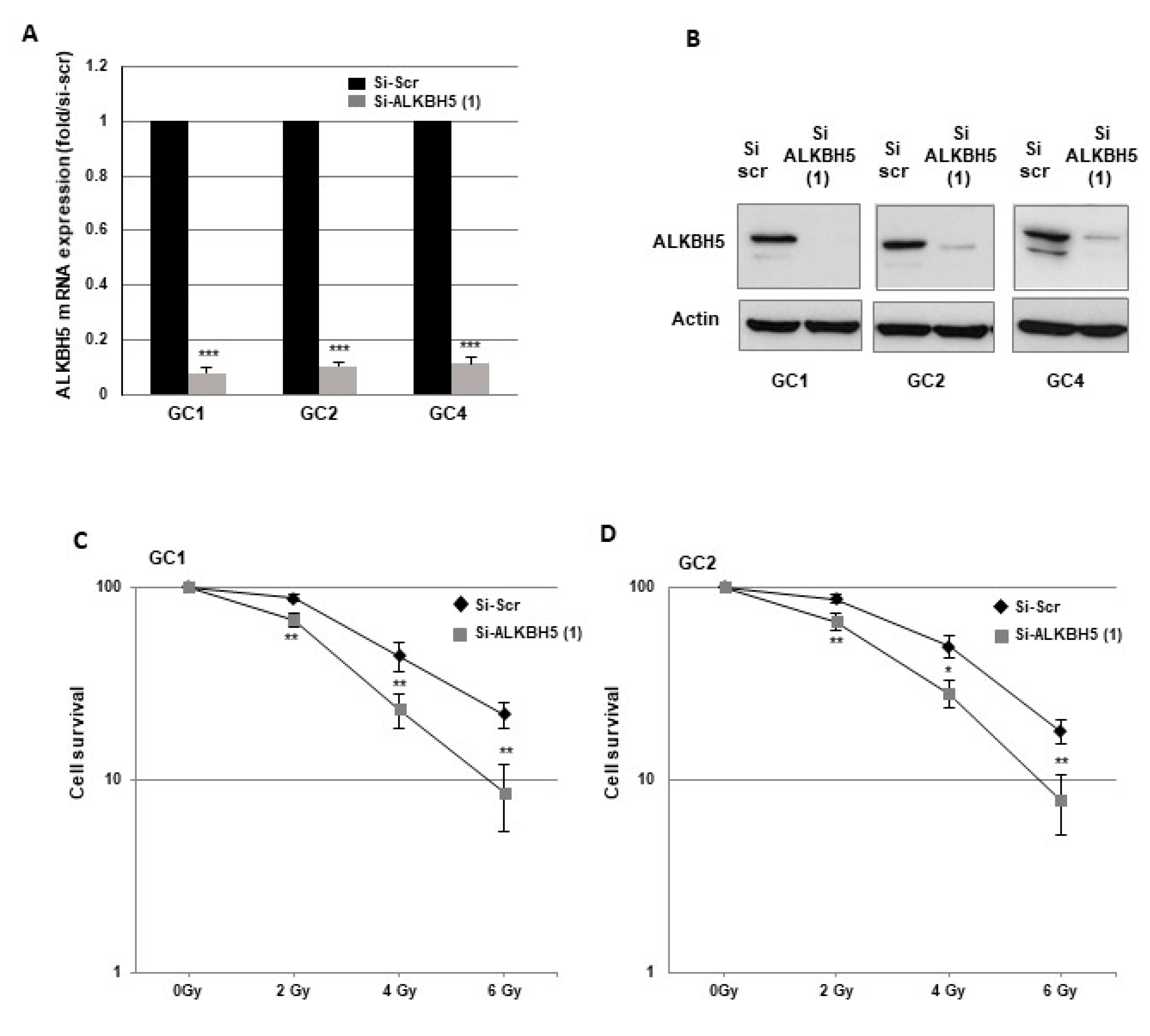 Cancers 13 00040 g001a