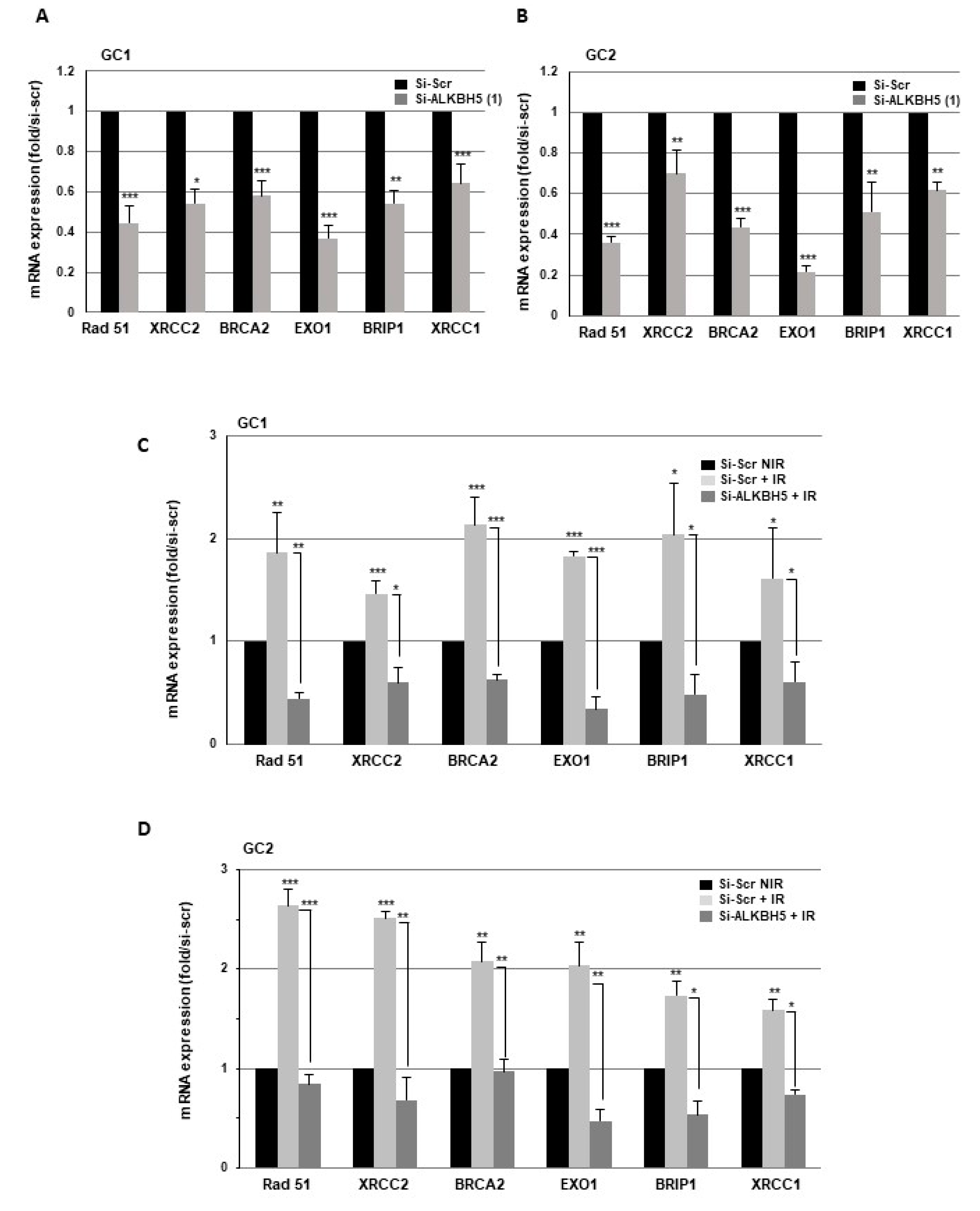 Cancers 13 00040 g003