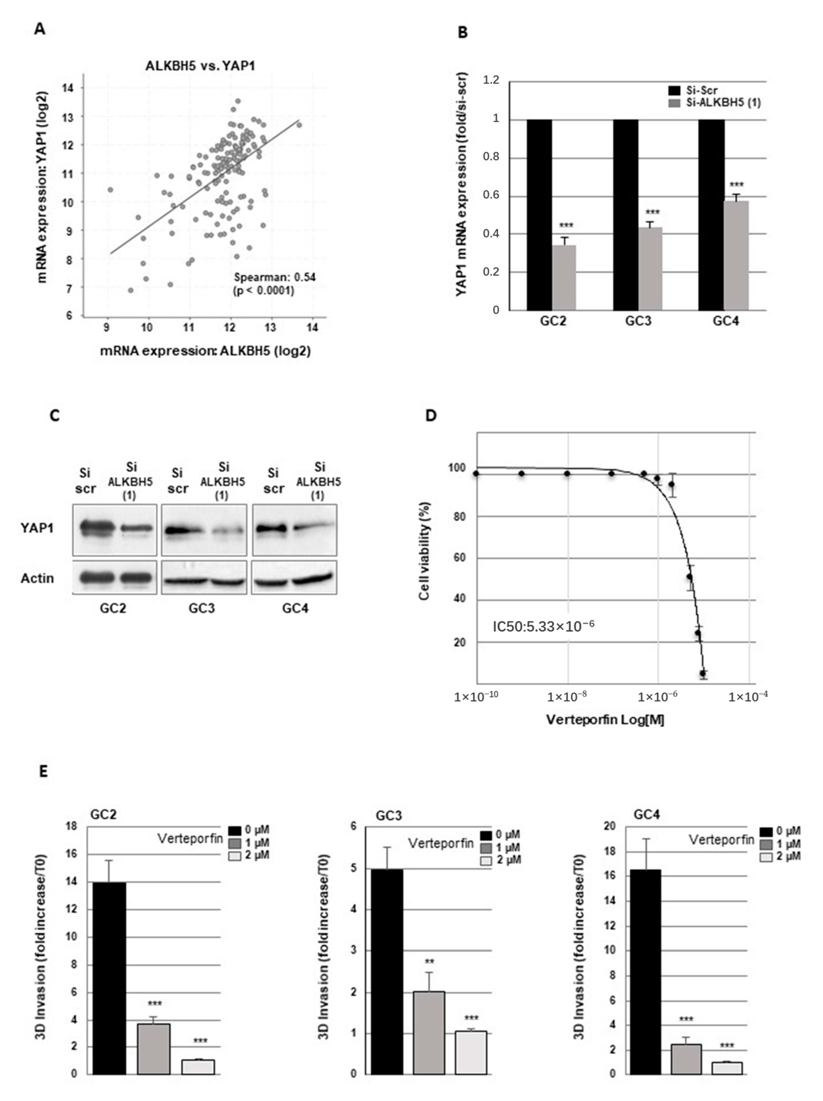 Cancers 13 00040 g006