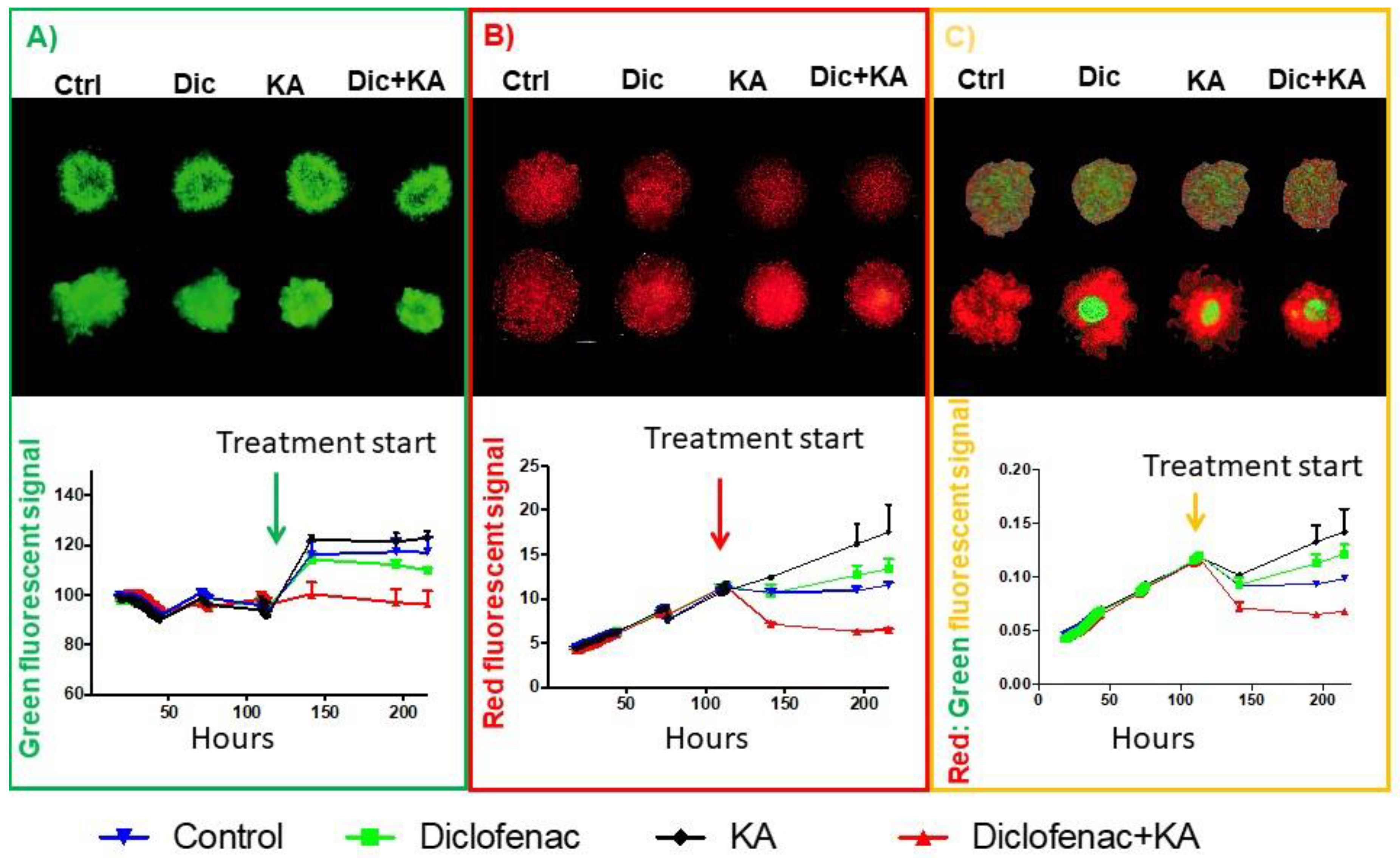 Cancers 13 00064 g004