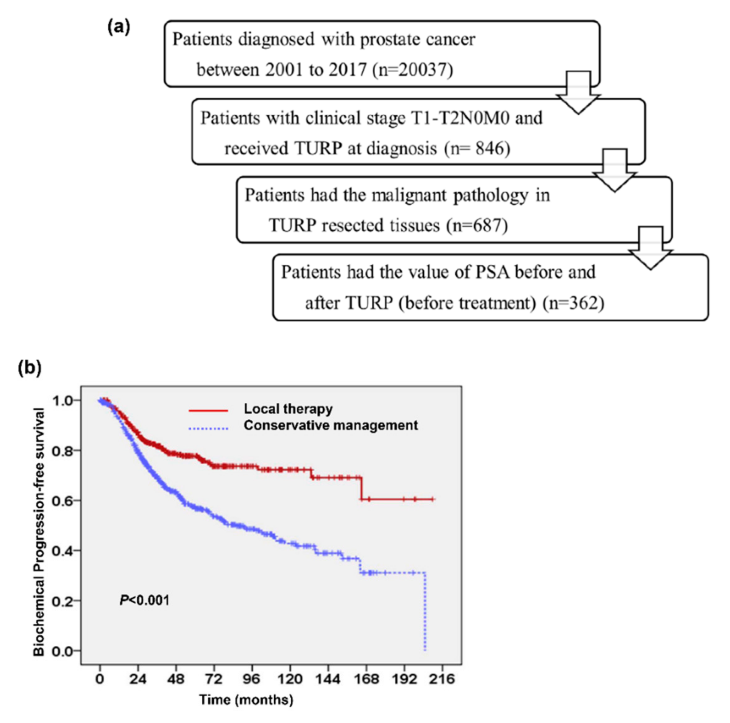 Cancers 13 00074 g001 Cancers 13 00074 g001