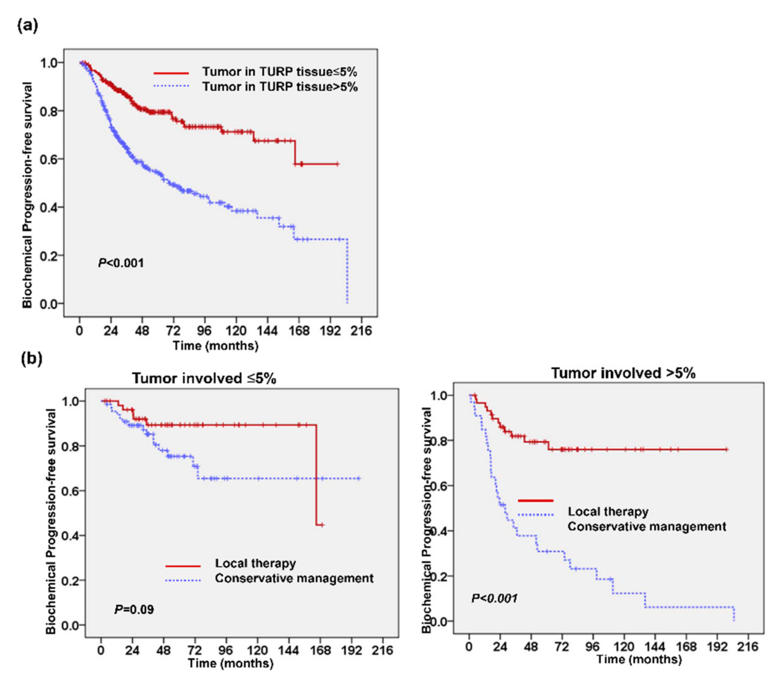 Cancers 13 00074 g003 Cancers 13 00074 g003
