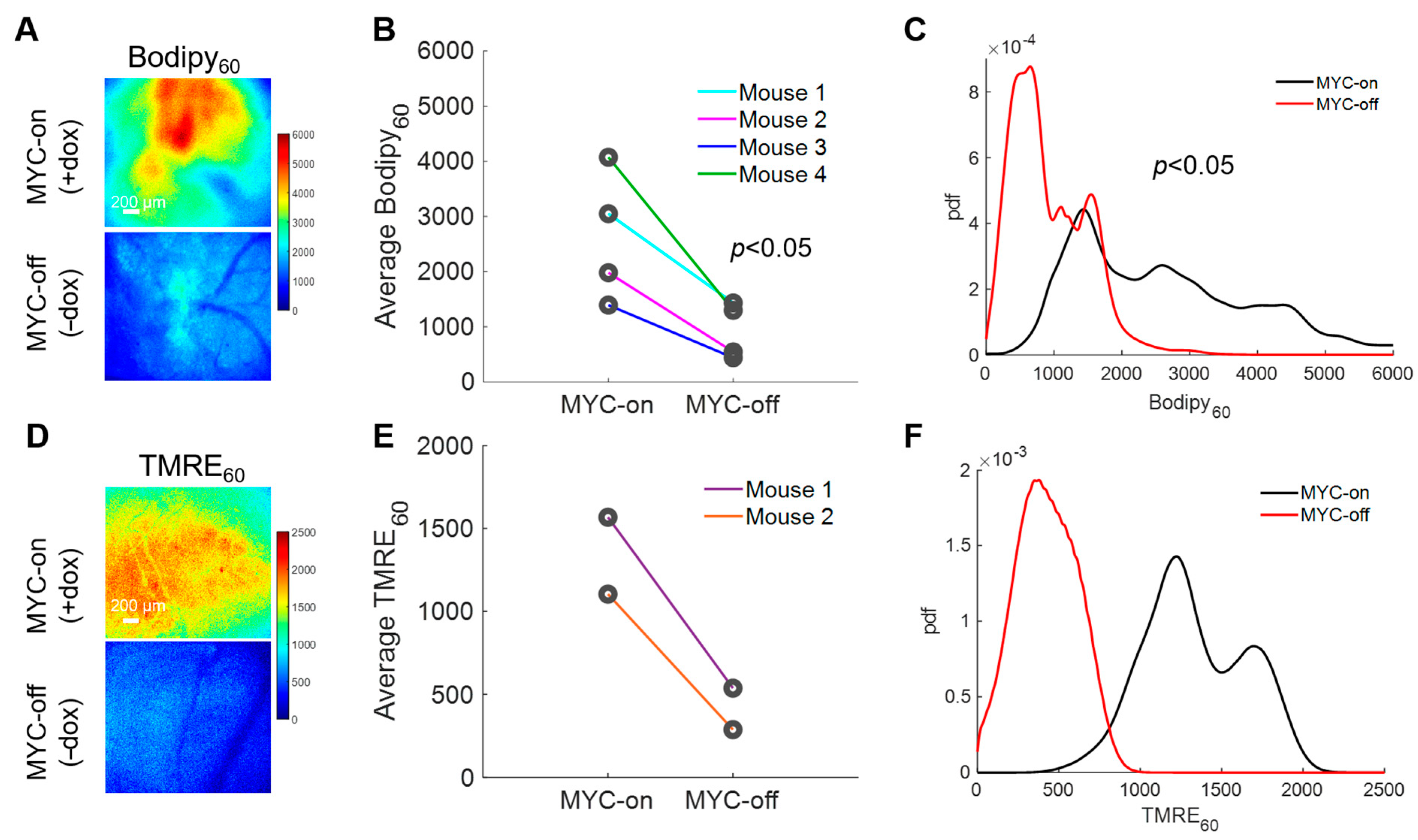 Cancers 13 00148 g004